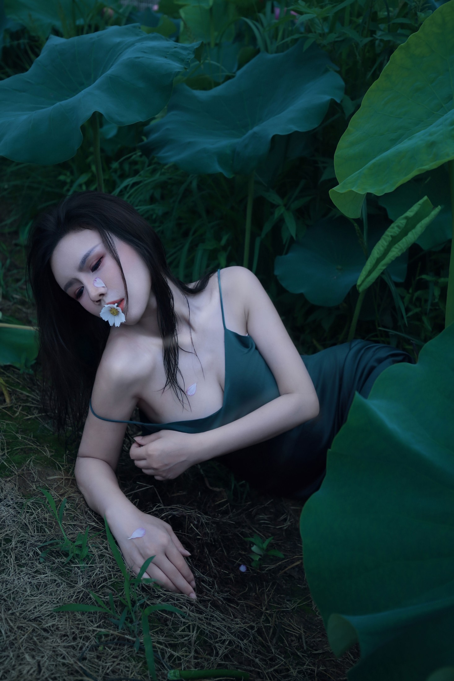 泽书 – 《碧罗栽夏》[18P]