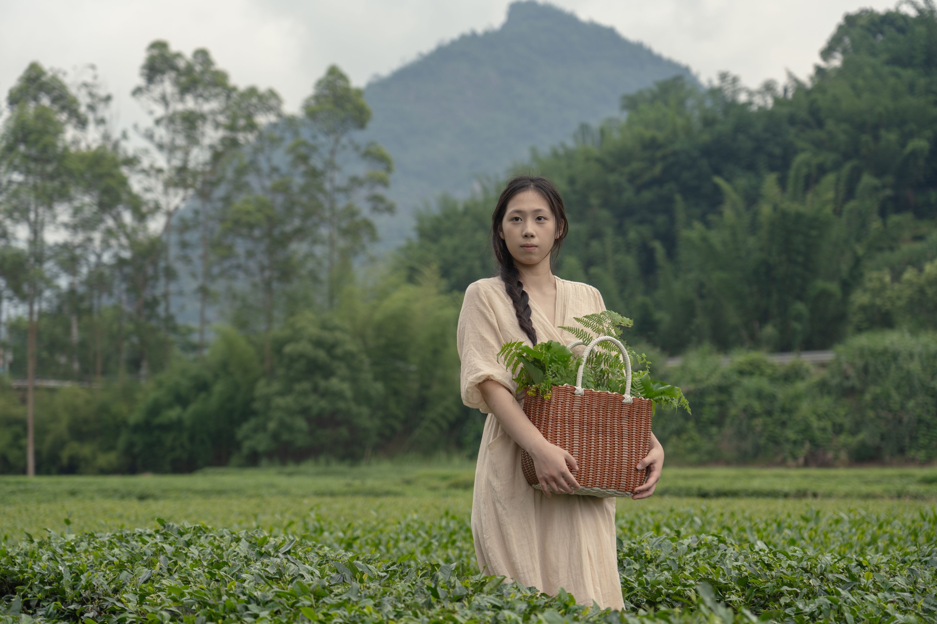 板栗 – 《沐野》[16P]