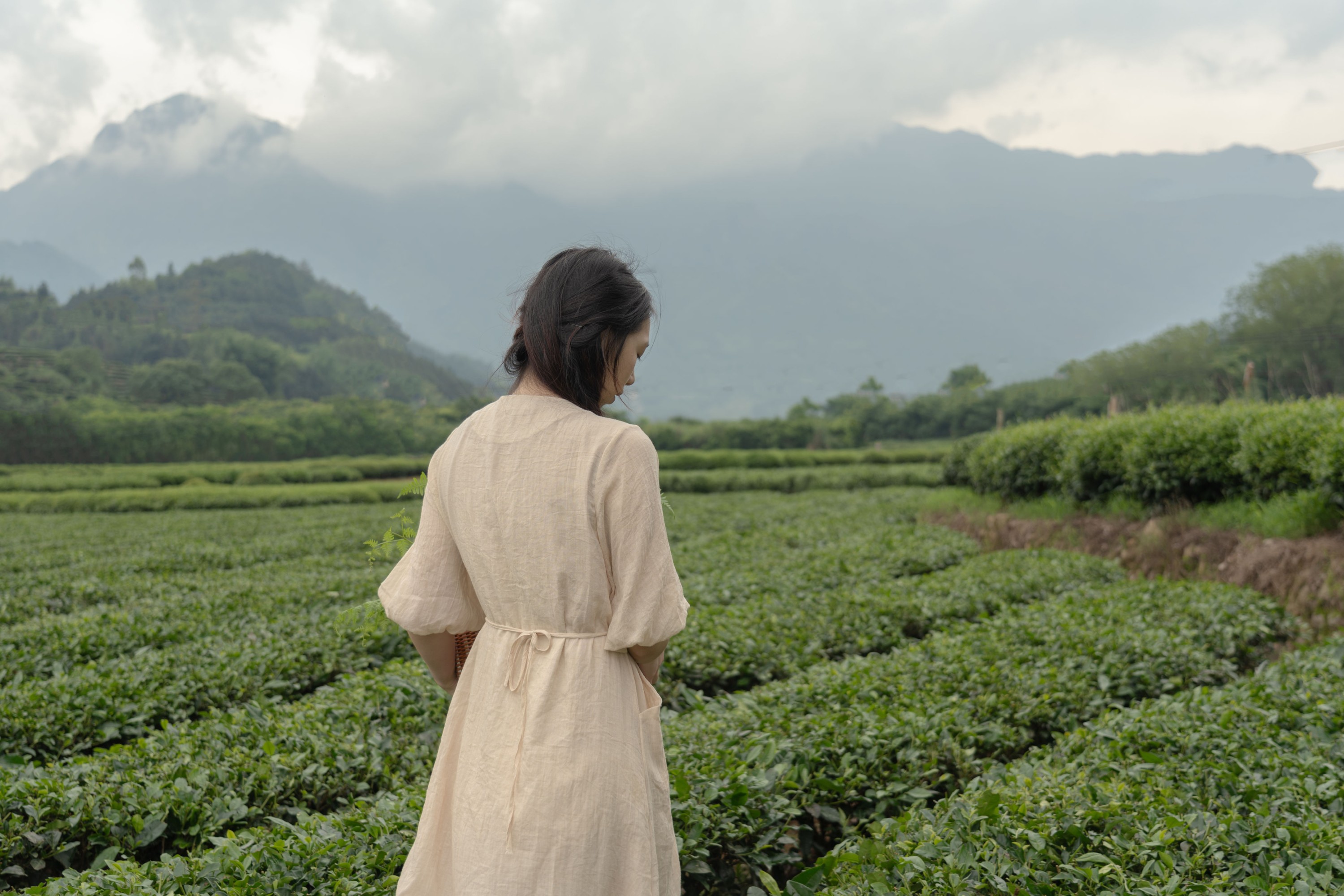 板栗 – 《沐野》[16P]