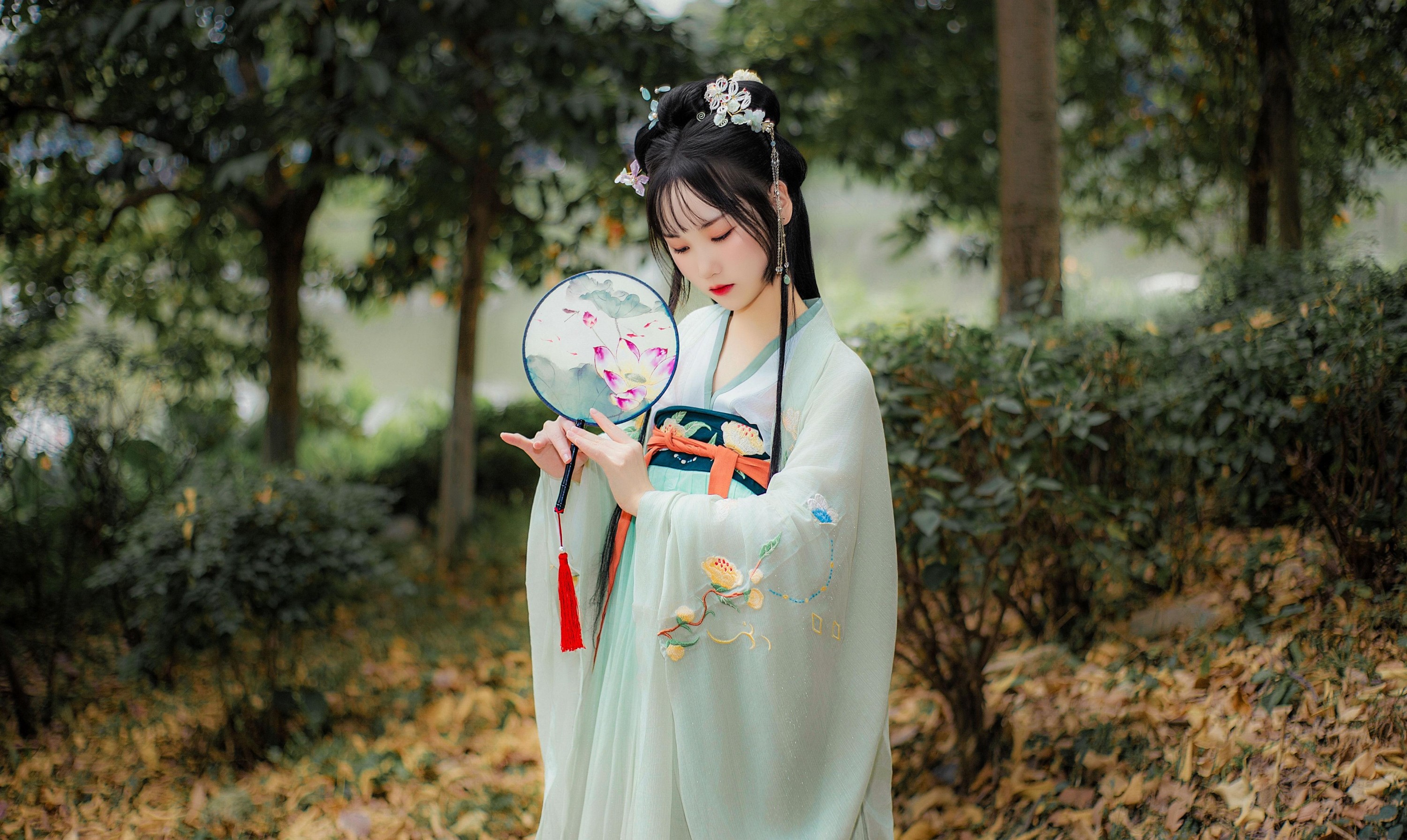 野樱 – 《晓青衫》[15P]