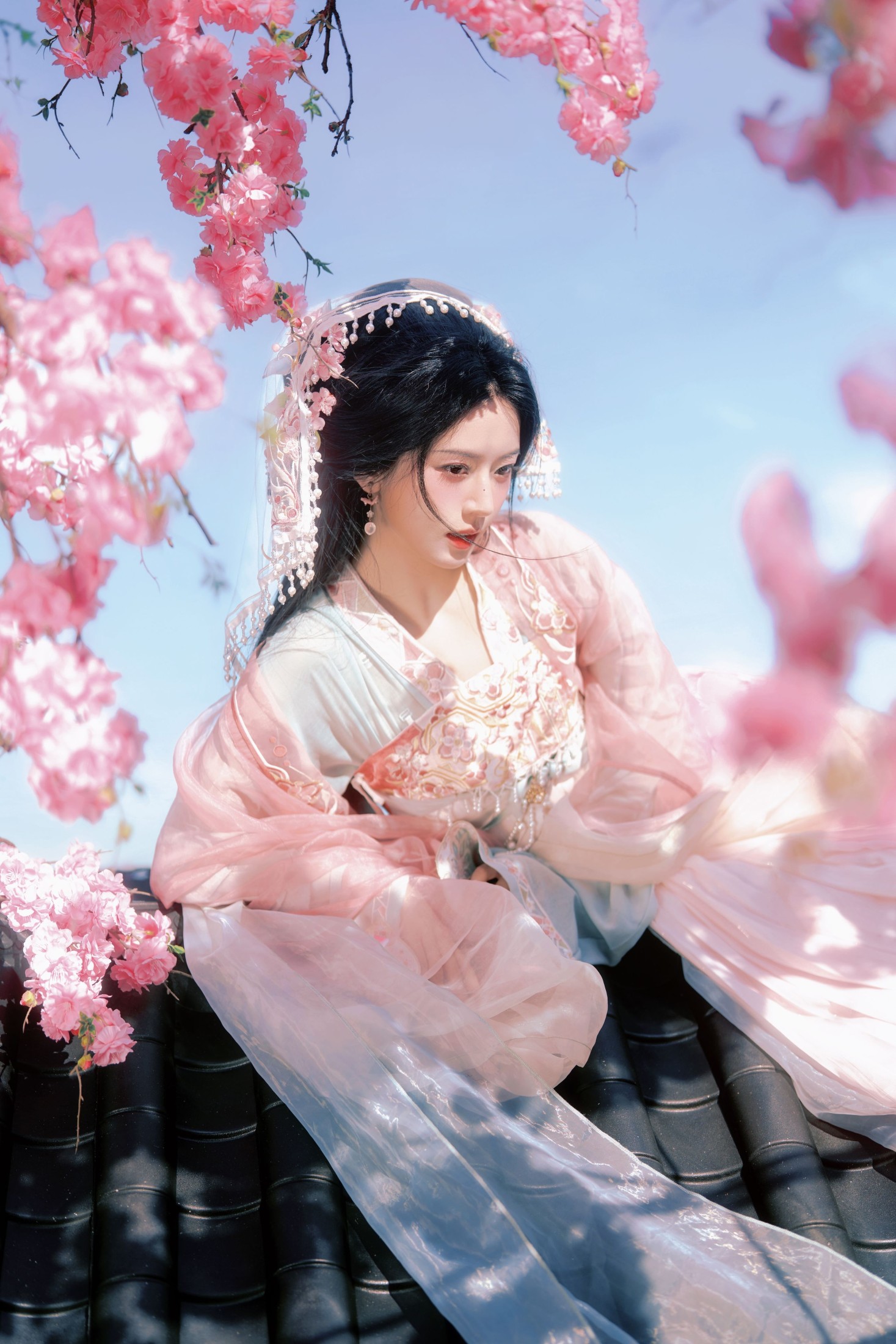 六金yE – 《我拍到了种田文女主》[14P]