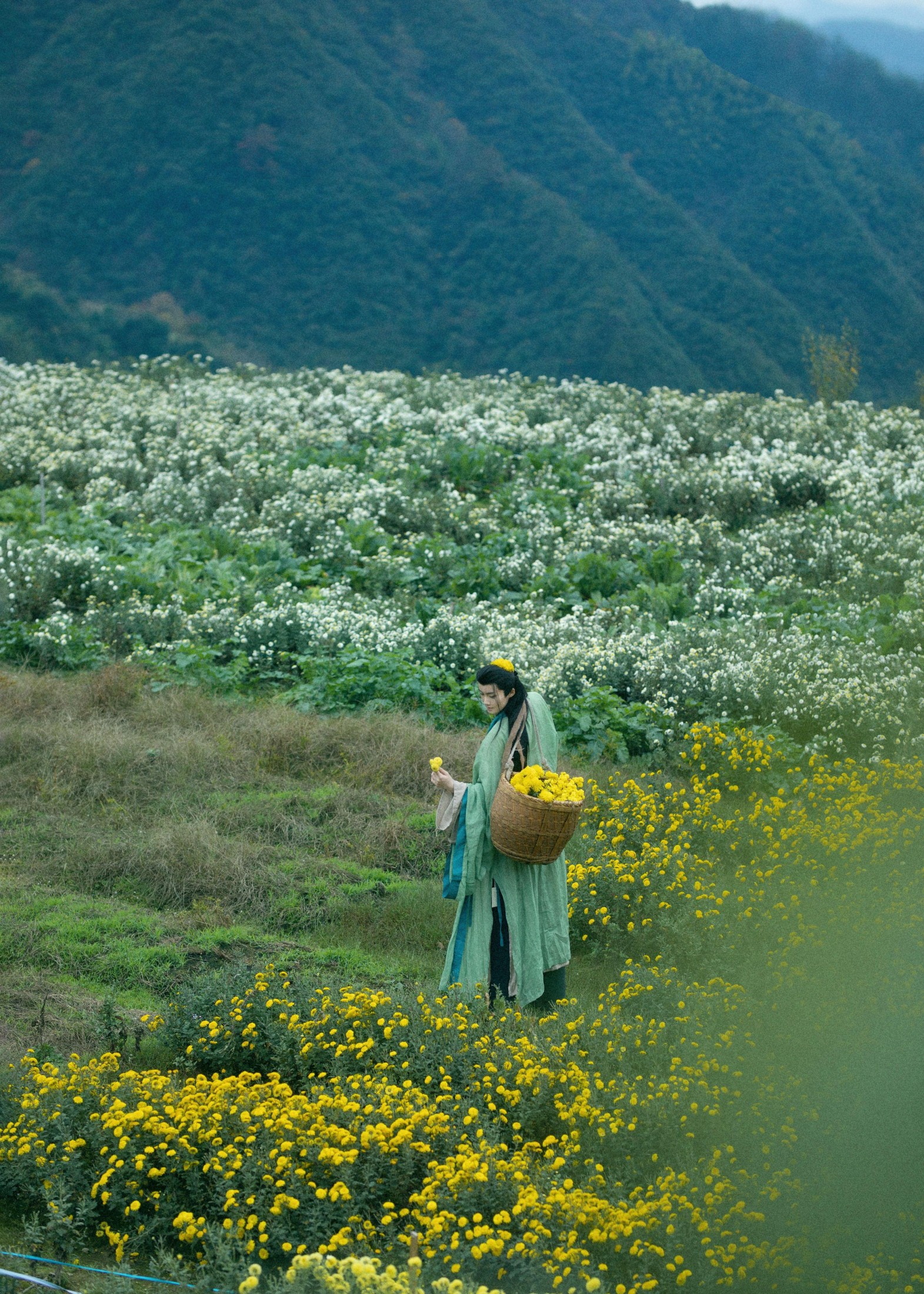 星查 – 《归园田居》[17P]