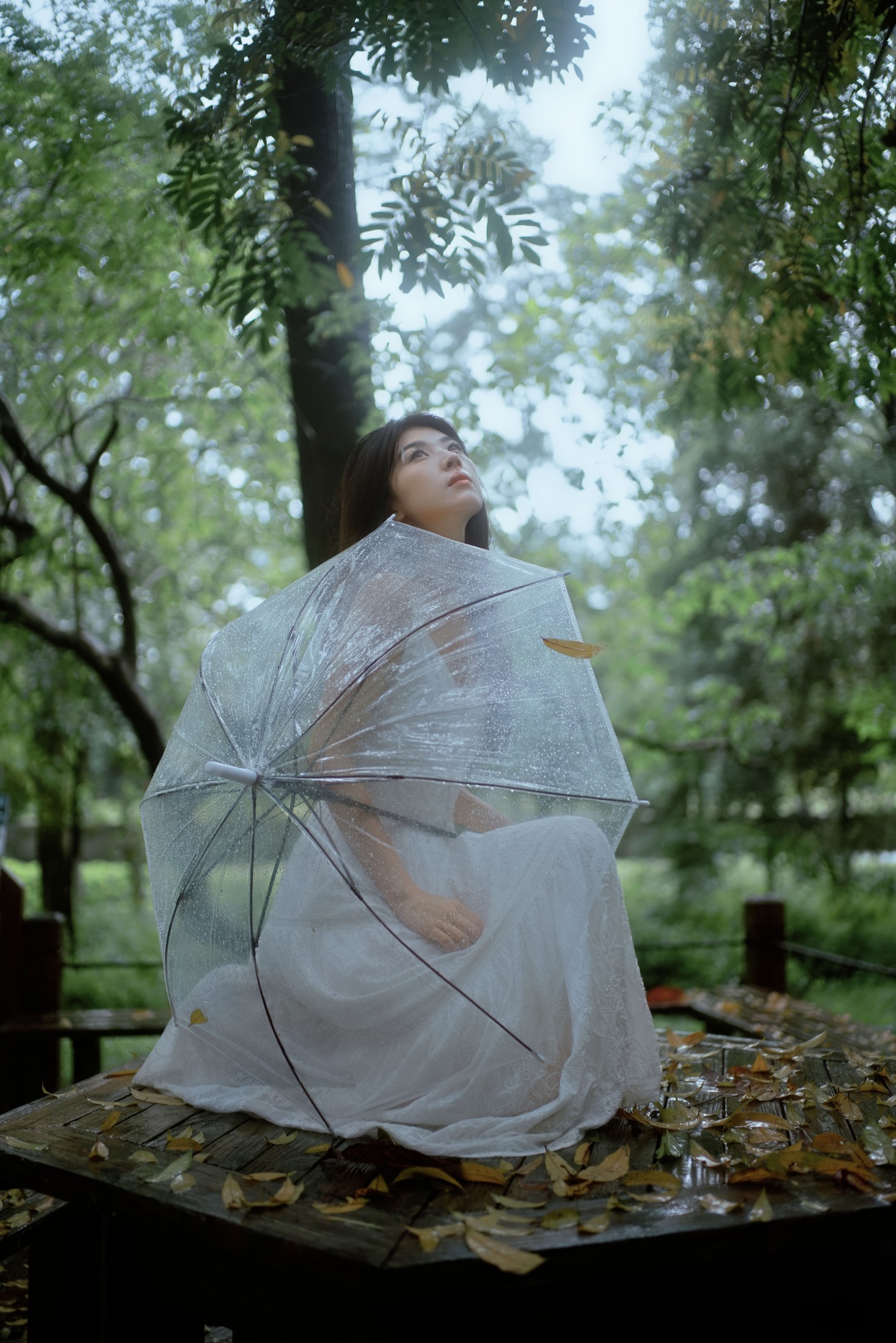 小鹿 – 《雨落林间，邂逅白裙仙子》[20P] 插图3