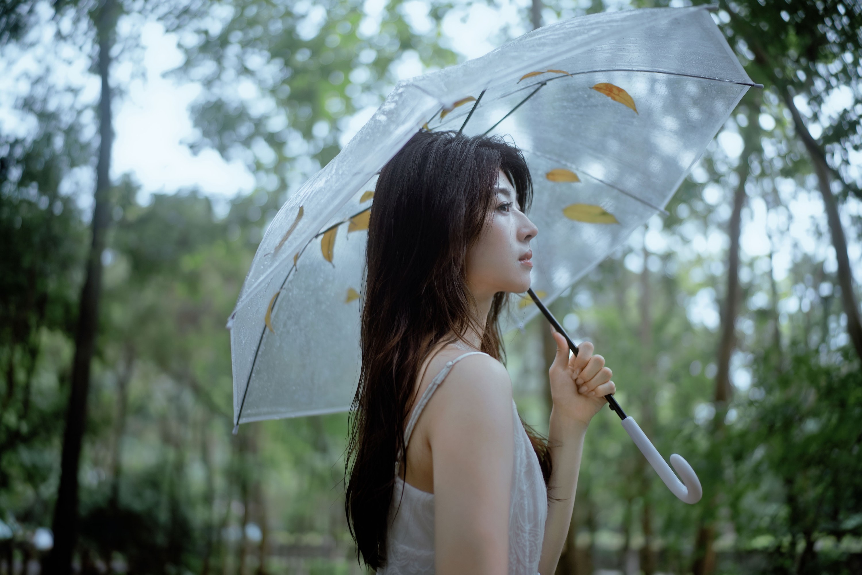 小鹿 – 《雨落林间，邂逅白裙仙子》[20P]