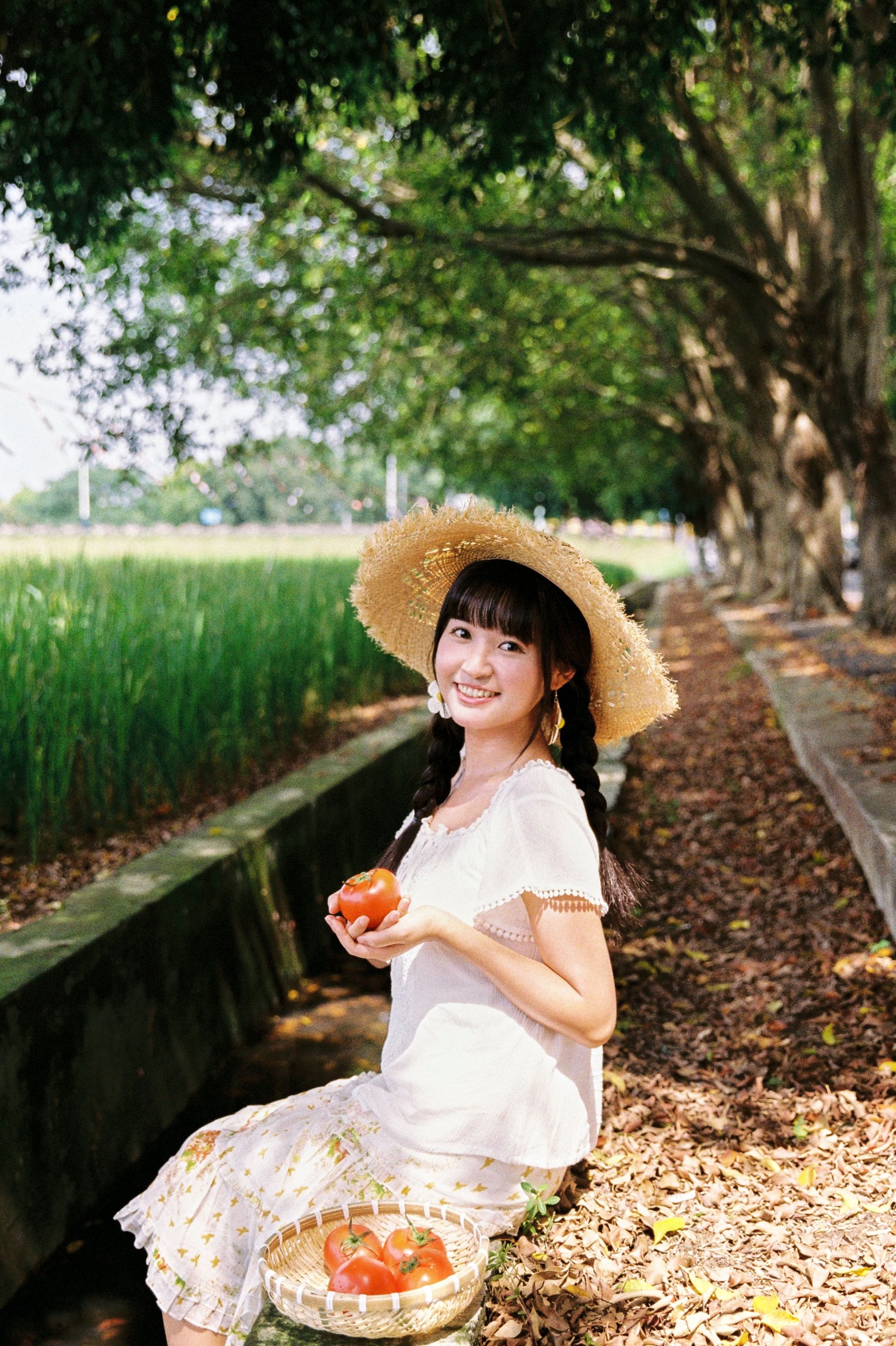 奇妙莉莉子 – 《我喜欢的盛夏》[16P]