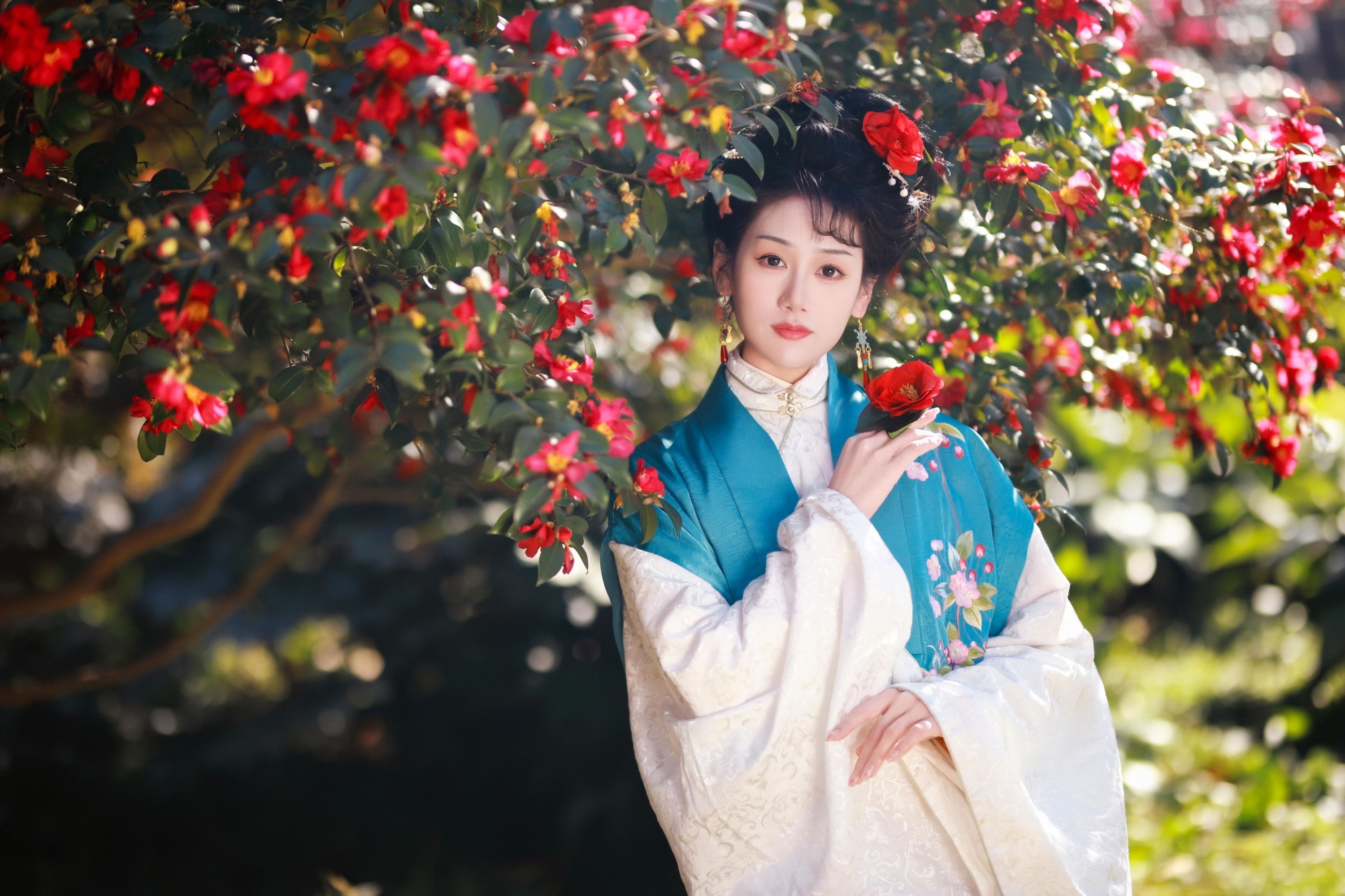 一只大大大李子 – 《山茶花开》[20P]