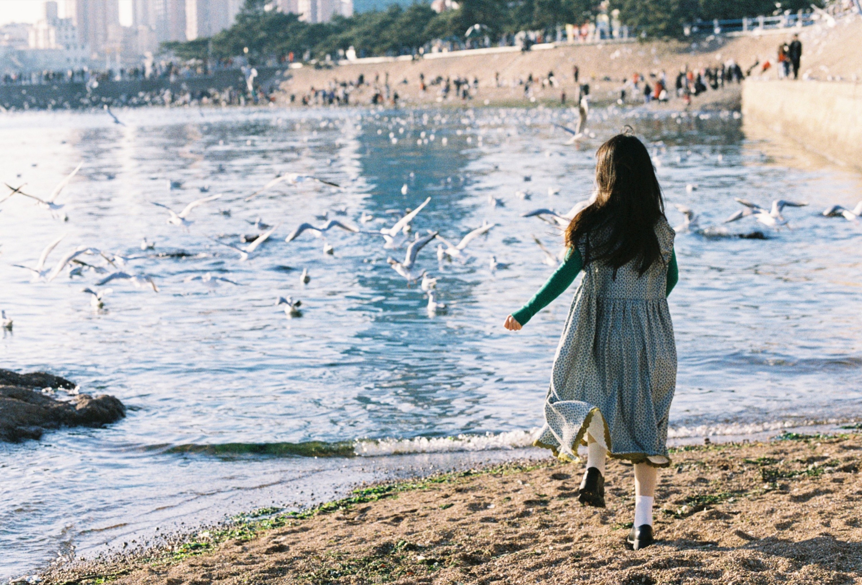 圆脸诺 – 《海鸥不再眷恋大海》[28P]