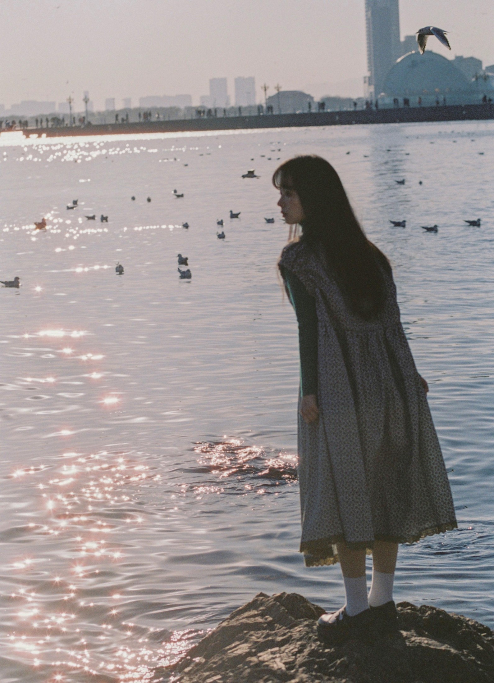 圆脸诺 – 《海鸥不再眷恋大海》[28P]