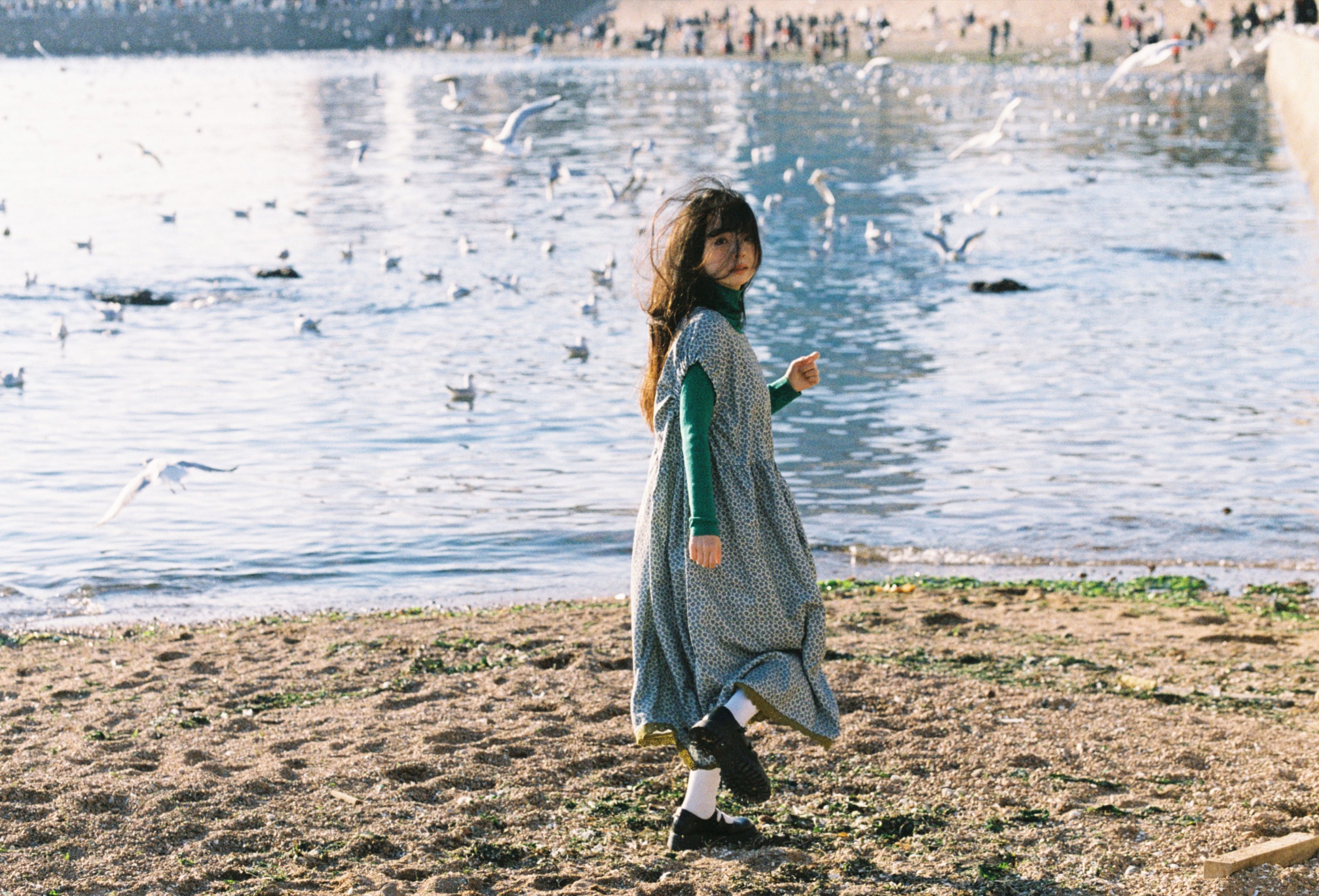 圆脸诺 – 《海鸥不再眷恋大海》[28P]