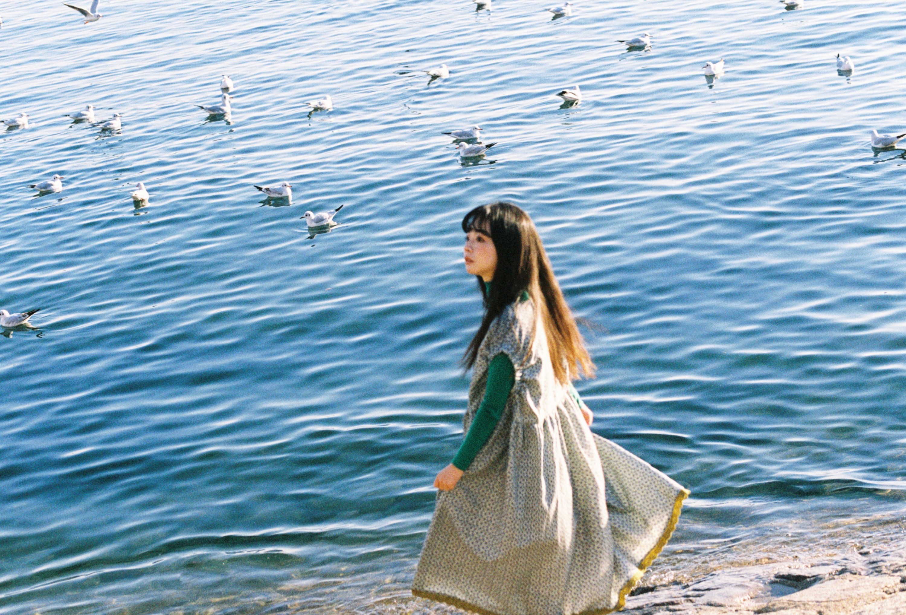 圆脸诺 – 《海鸥不再眷恋大海》[28P]