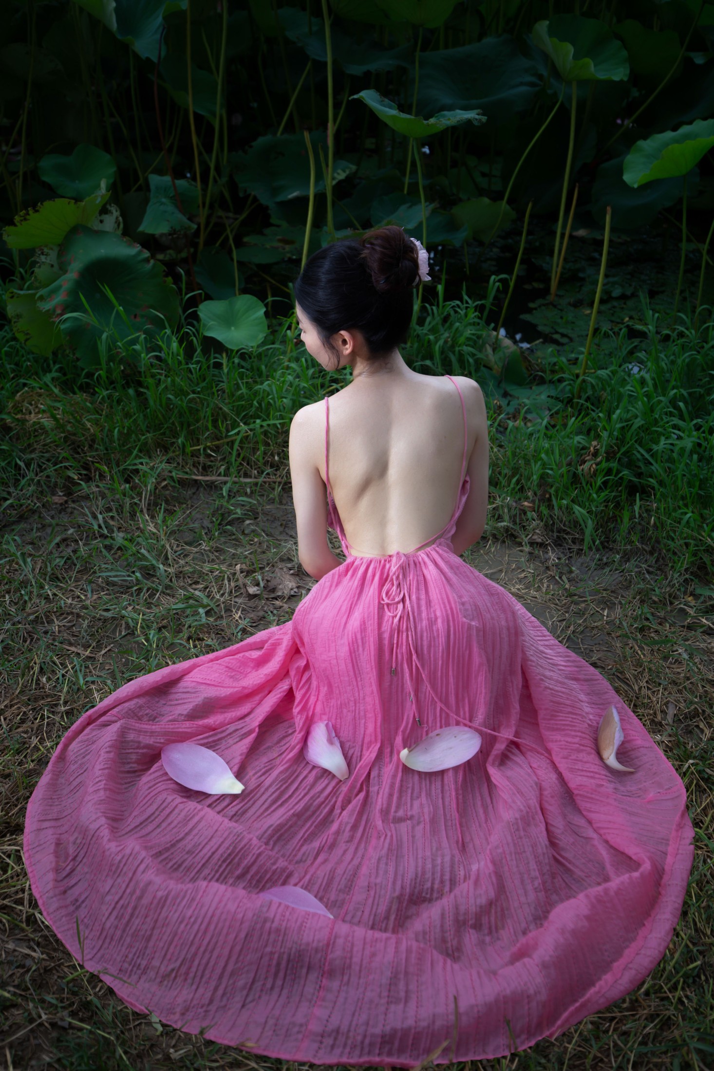 牛排小王子 – 《荷花与少女》[15P]