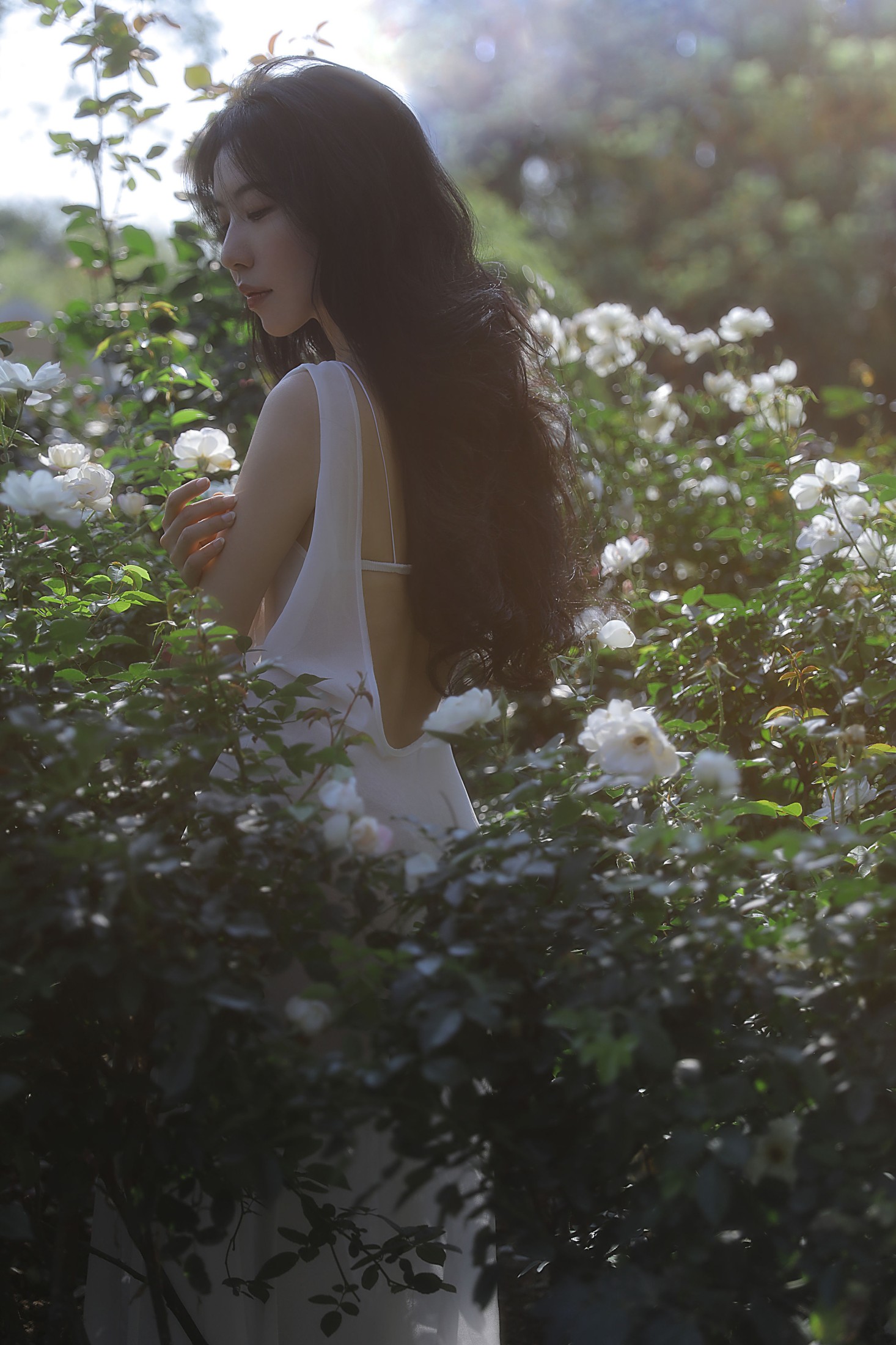 Wendy园子模特 – 《细嗅蔷薇》[19P]