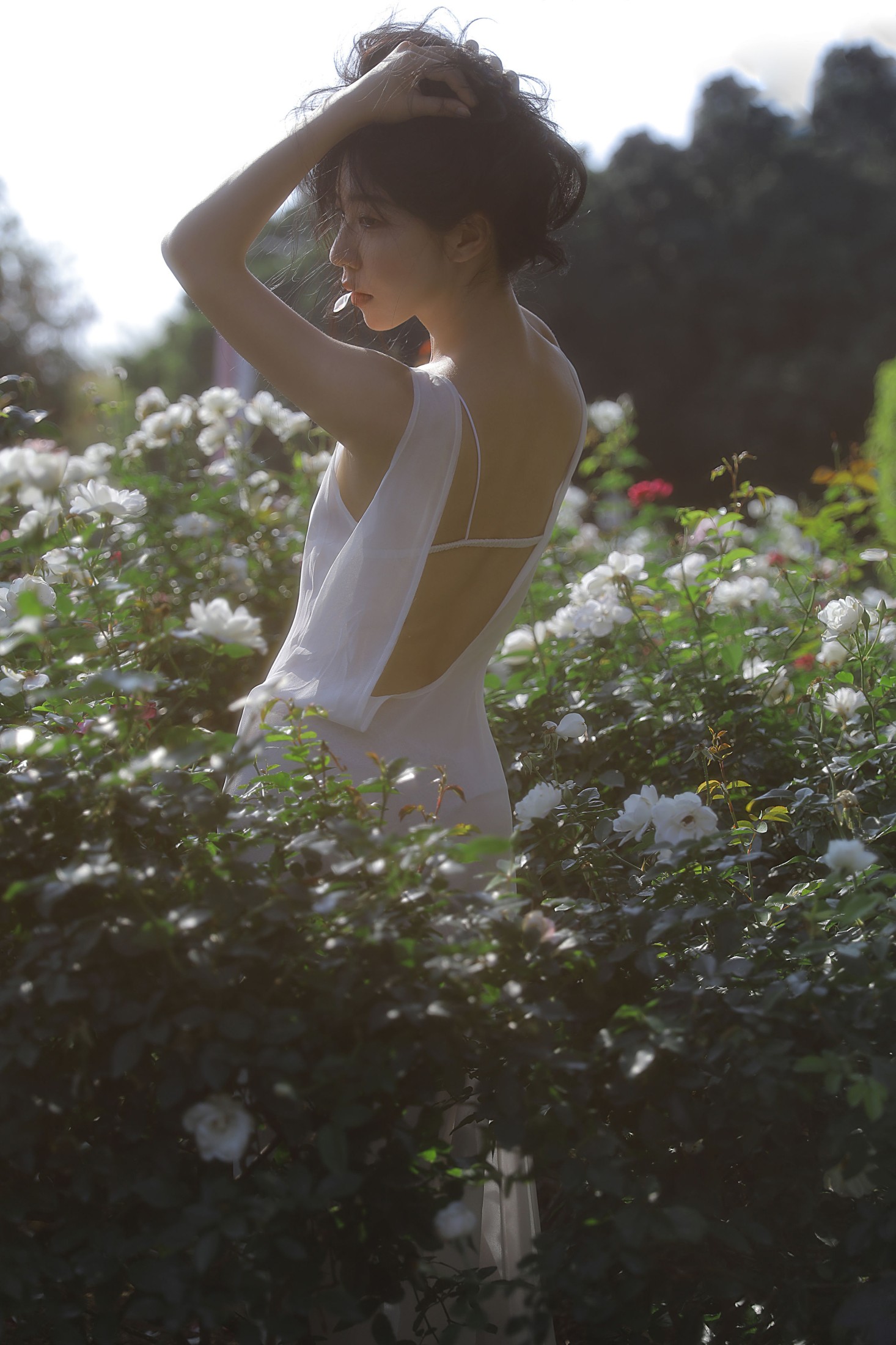 Wendy园子模特 – 《细嗅蔷薇》[19P]