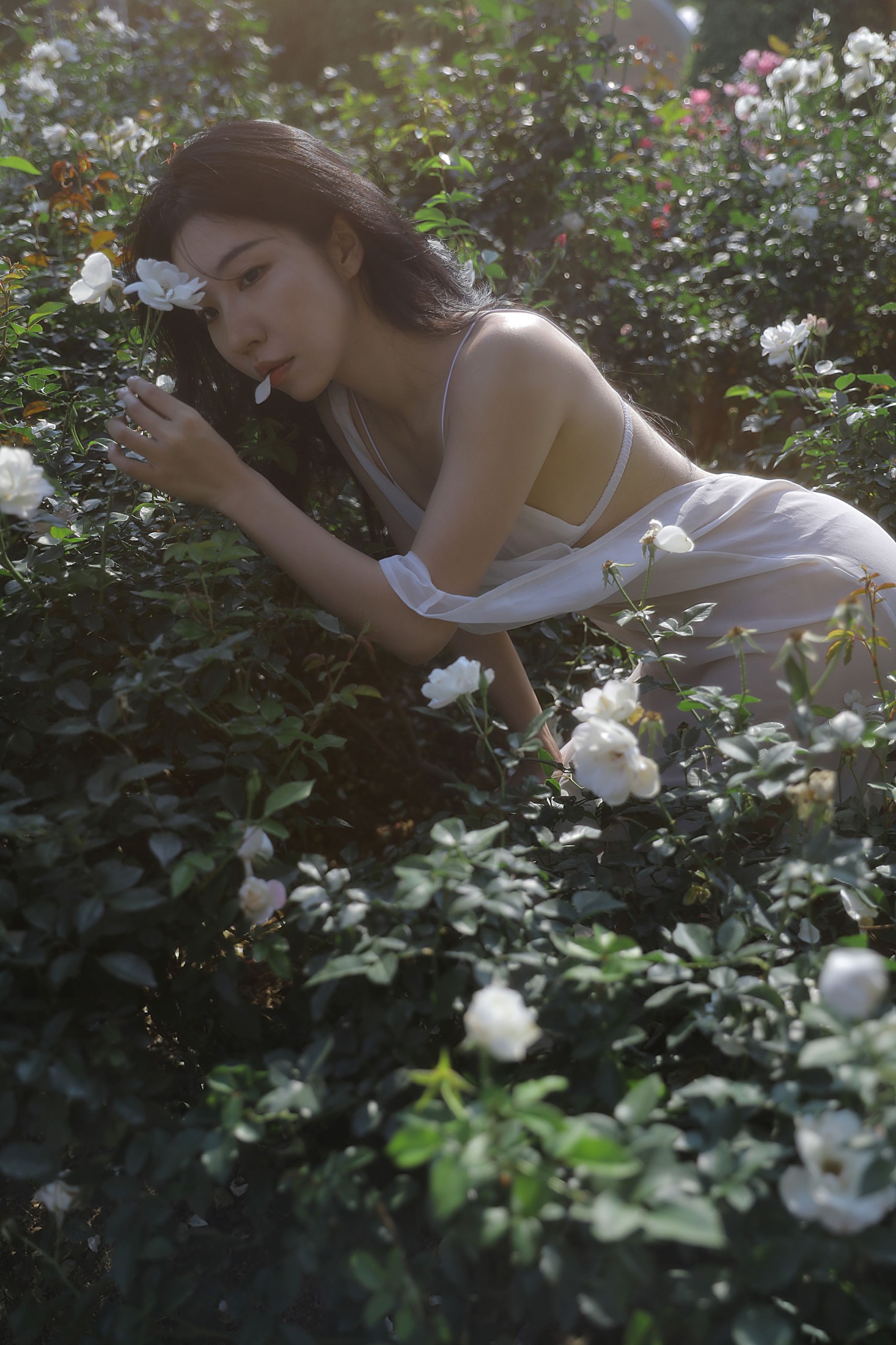 Wendy园子模特 – 《细嗅蔷薇》[19P]