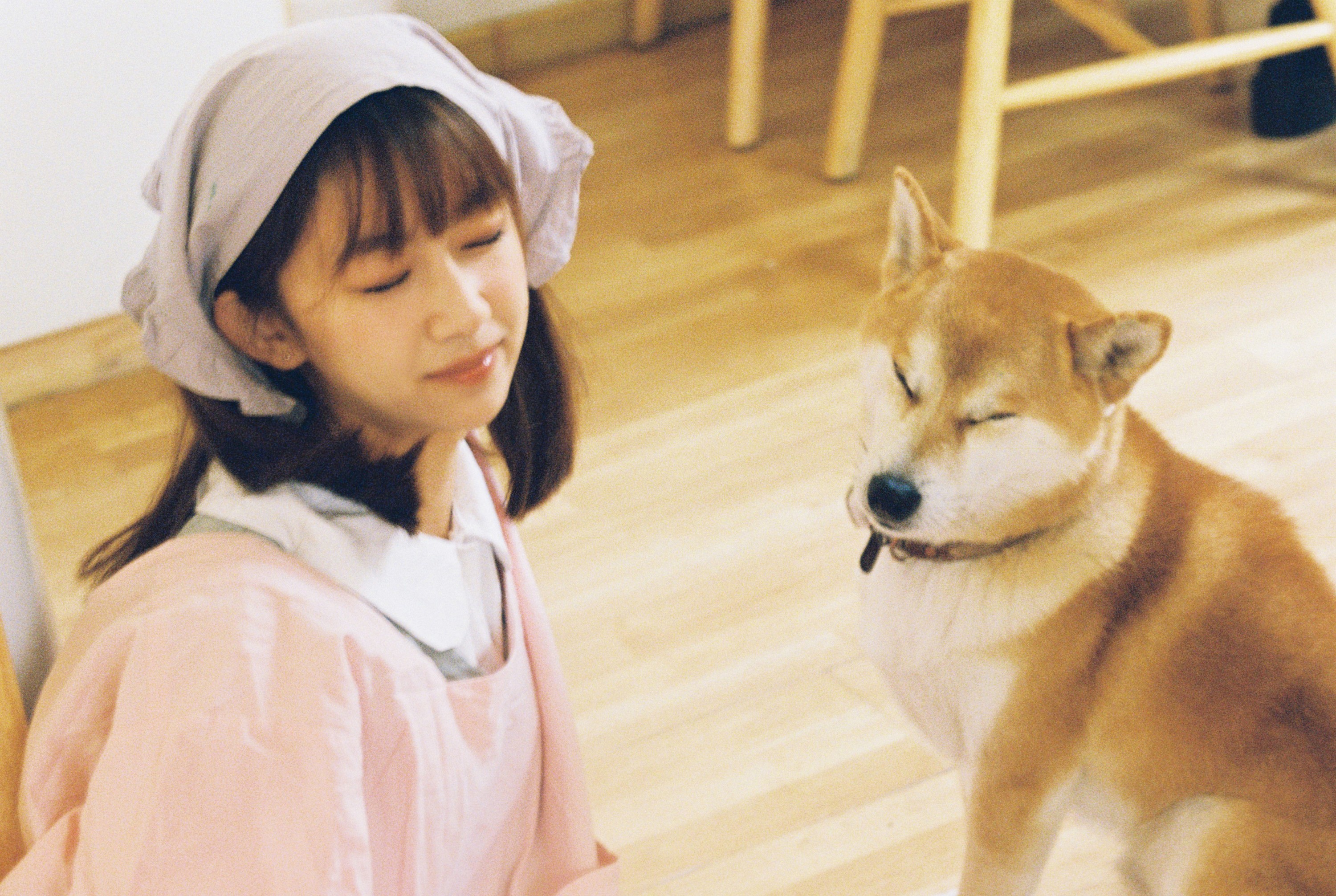 。 – 《这个世界不能没有小狗！》[22P]