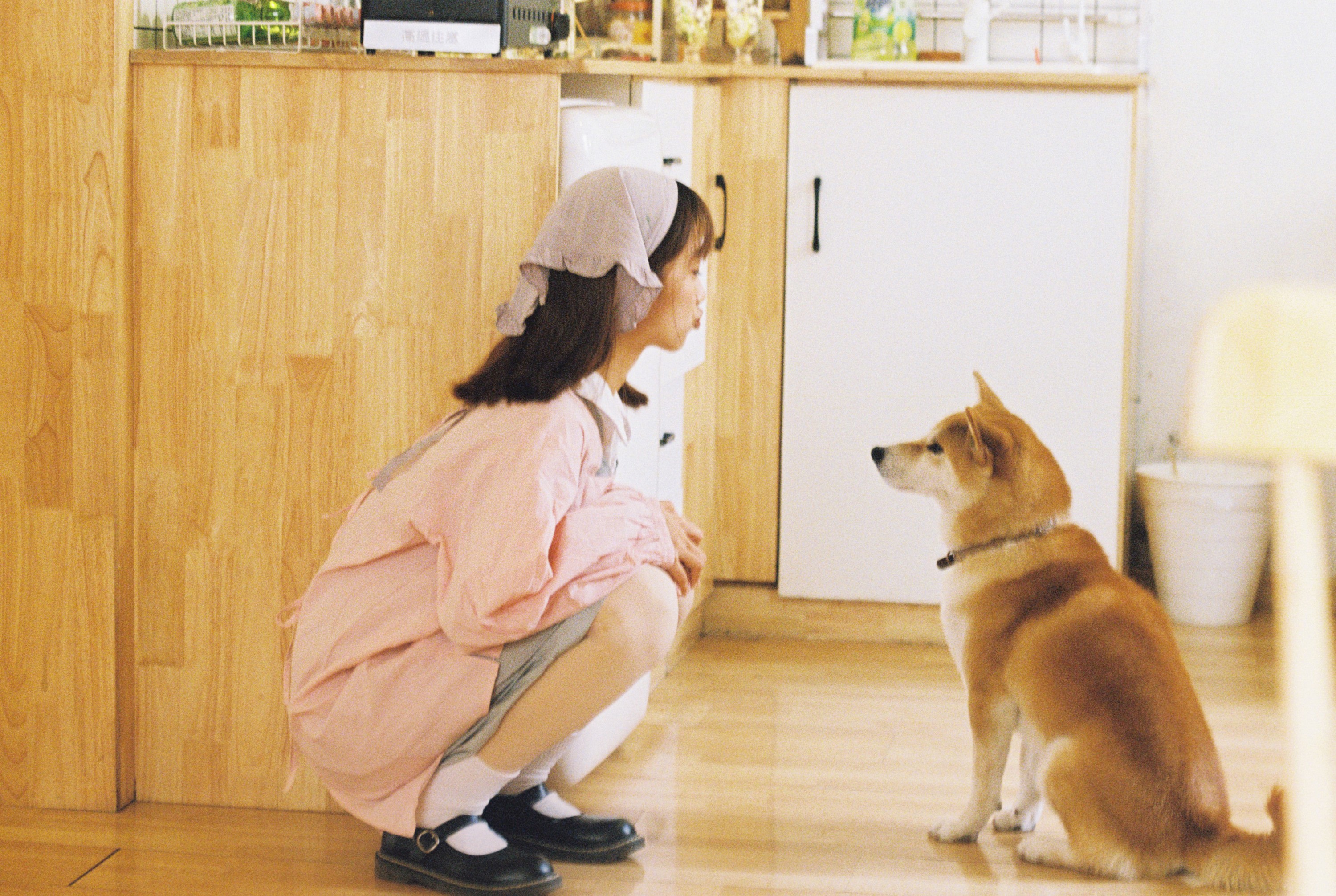 。 – 《这个世界不能没有小狗！》[22P]