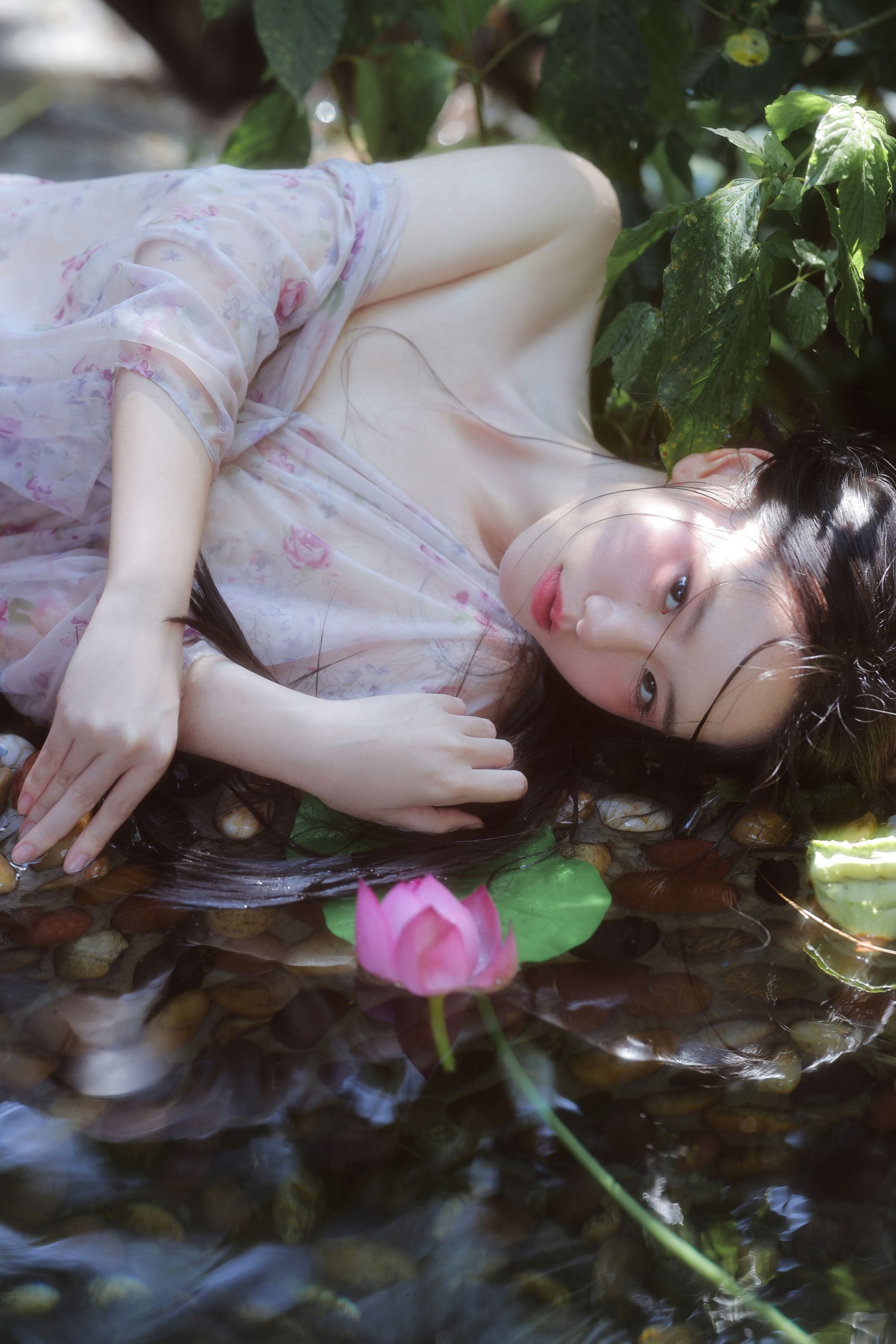 Naomi. – 《夏莲》[13P]