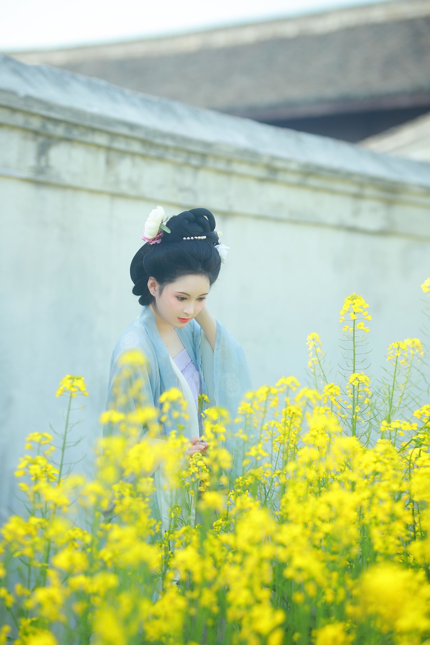 6161 – 《唐风写真油菜花》[24P]