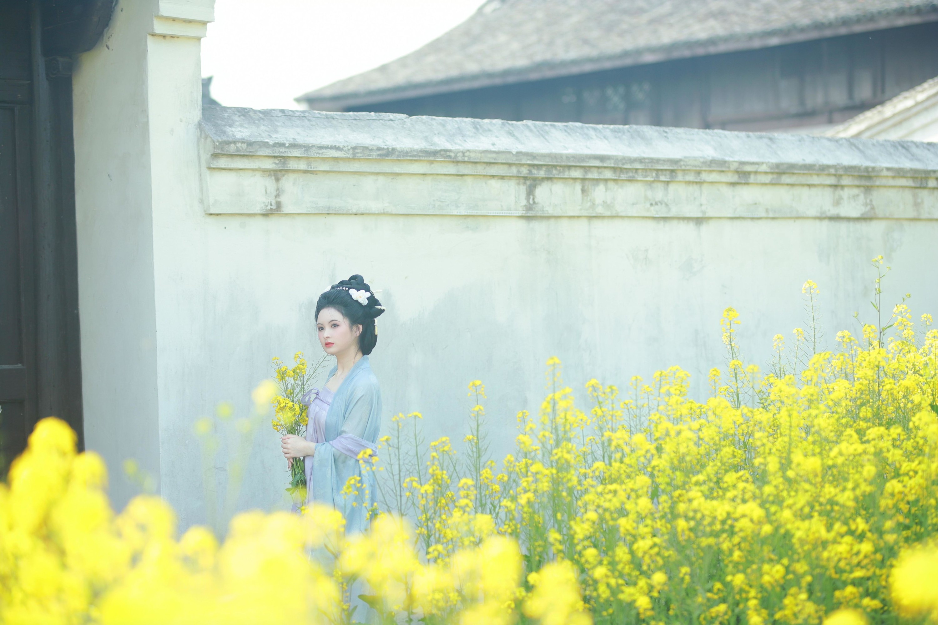 6161 – 《唐风写真油菜花》[24P]