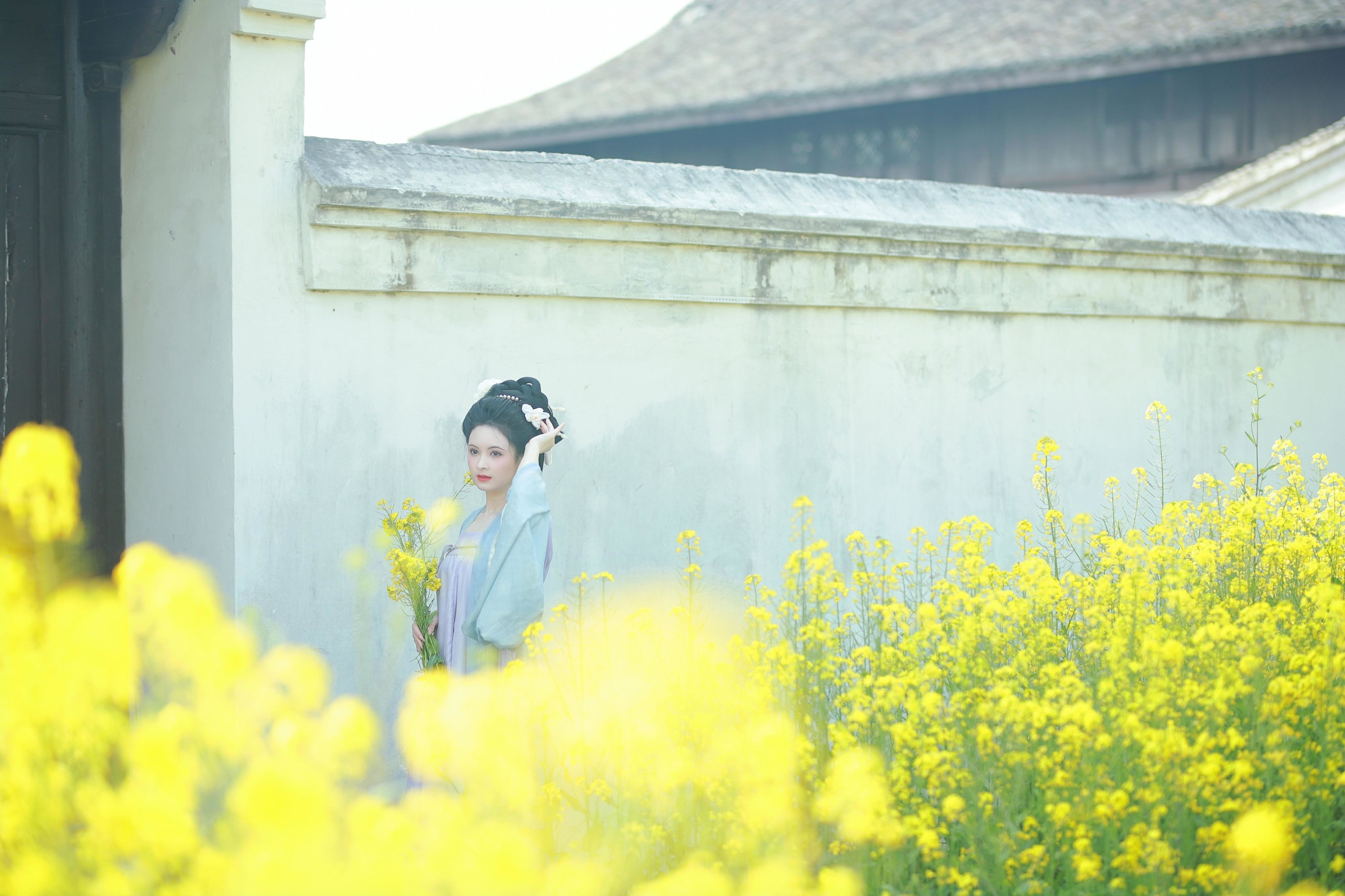 6161 – 《唐风写真油菜花》[24P]