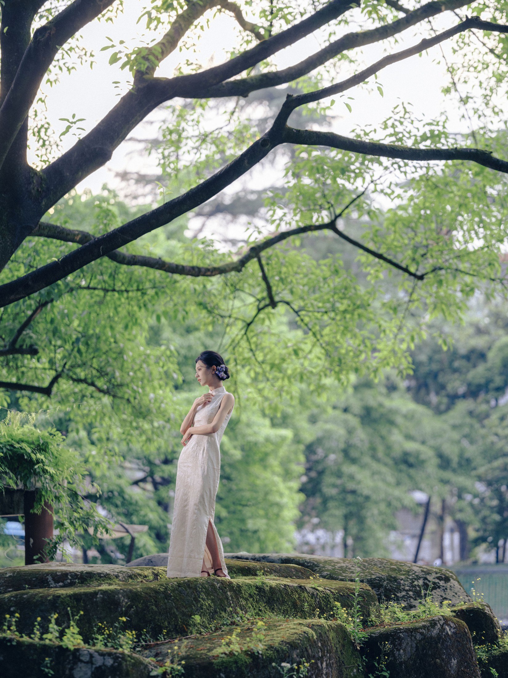 沧沧 – 《白兰》[17P]