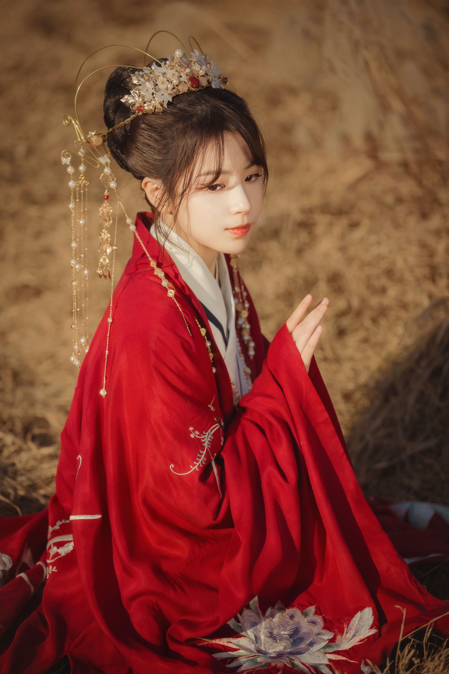 公子不坏 – 《扶摇歌》[29P]