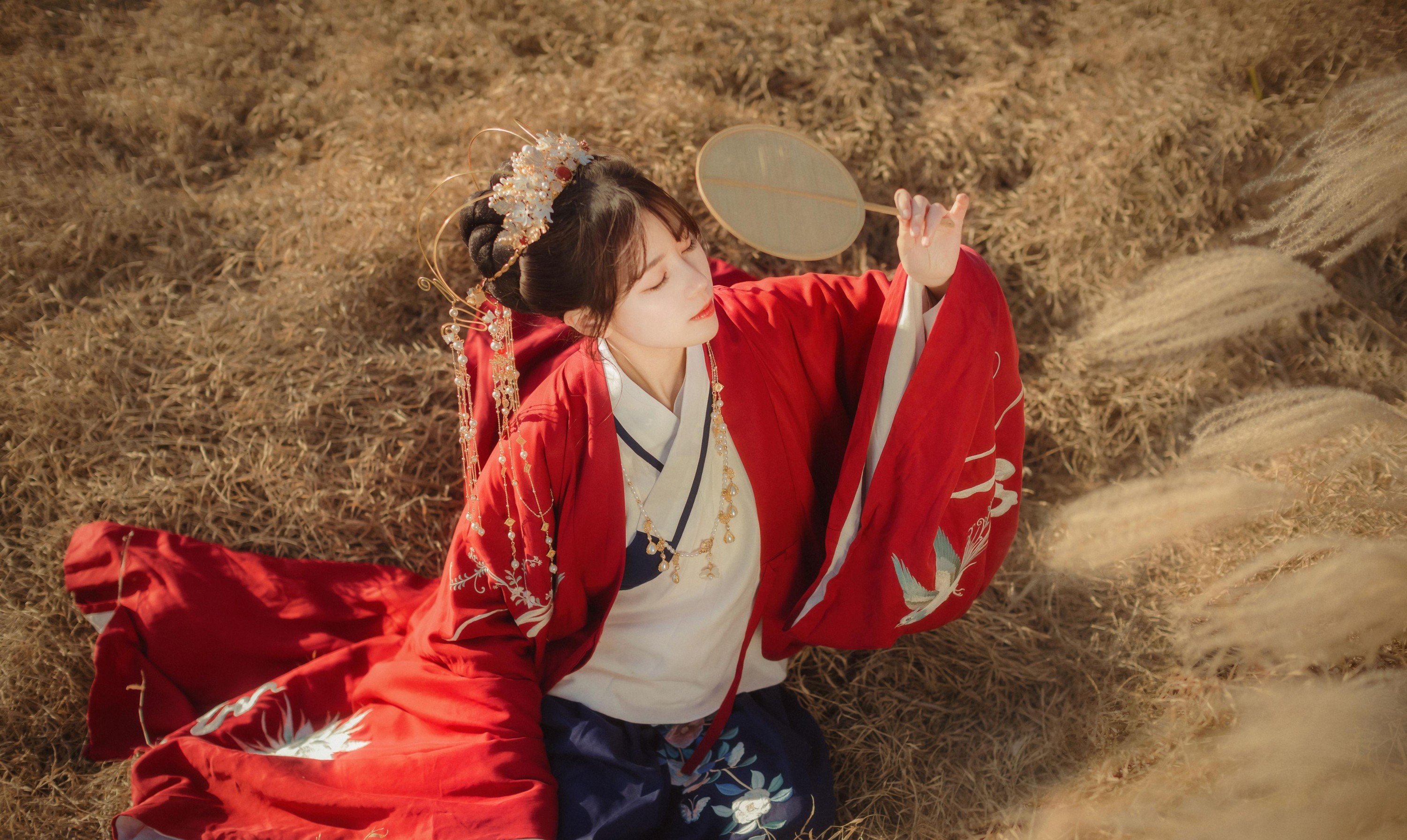 公子不坏 – 《扶摇歌》[29P]