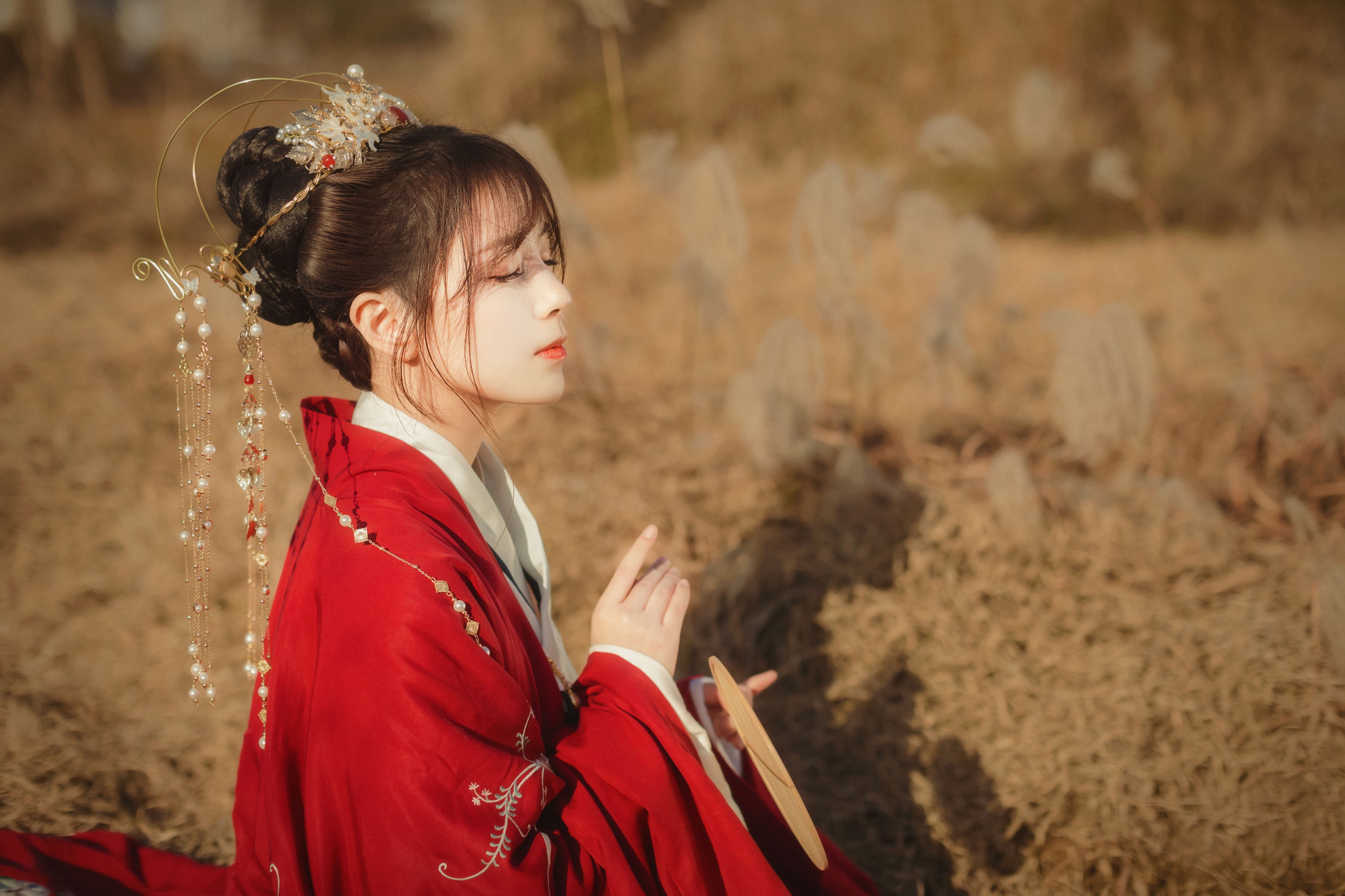 公子不坏 – 《扶摇歌》[29P]