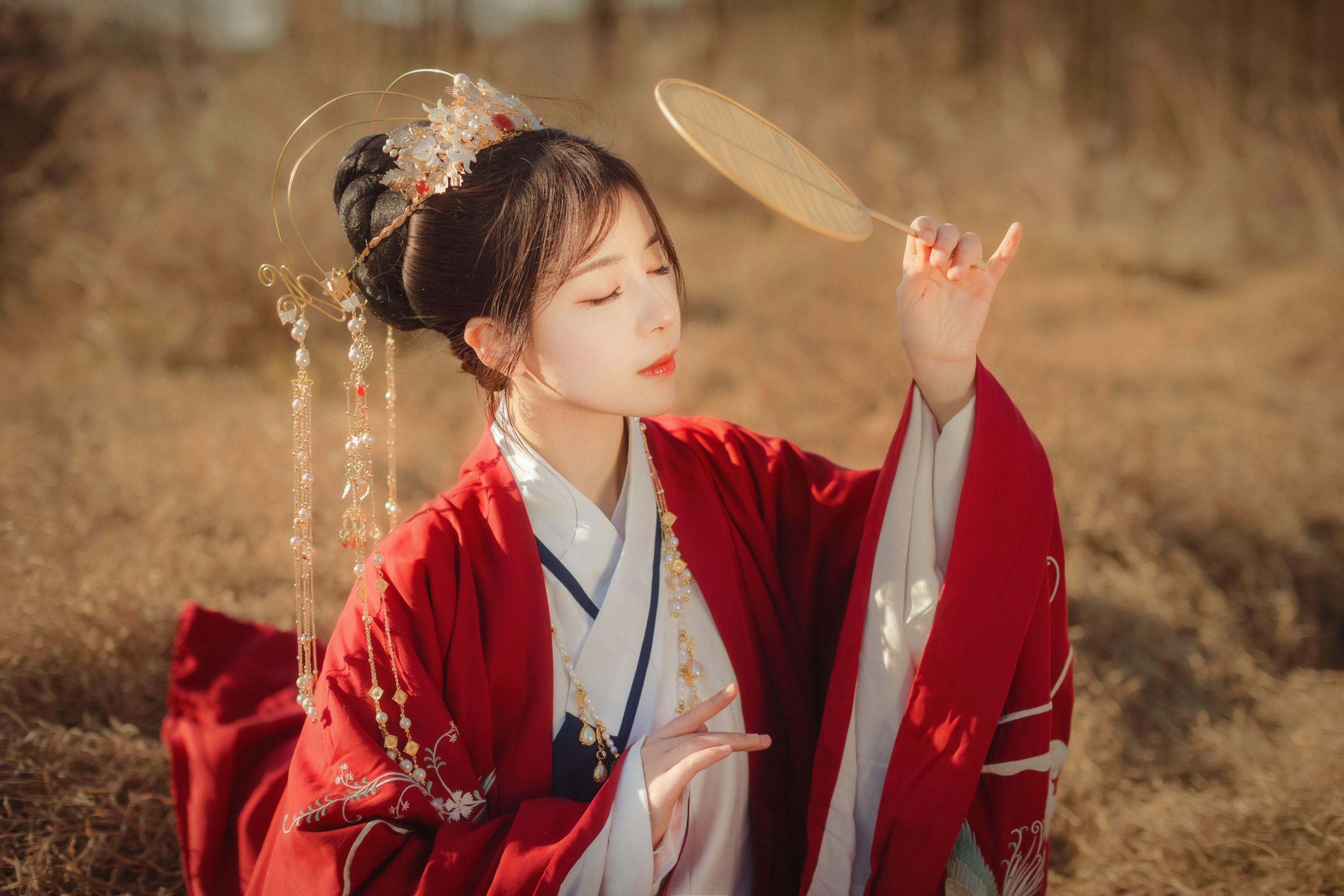 公子不坏 – 《扶摇歌》[29P]