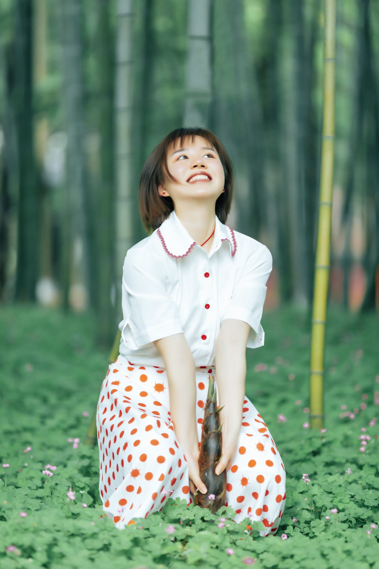 鑫鑫 – 《邻家女孩》[34P]