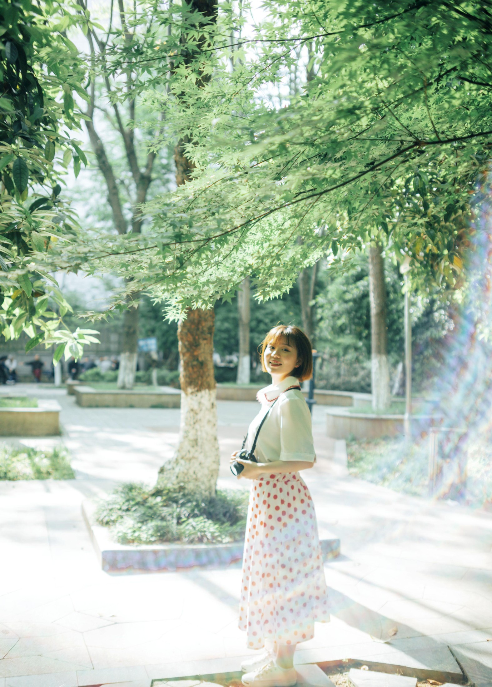 鑫鑫 – 《邻家女孩》[34P]