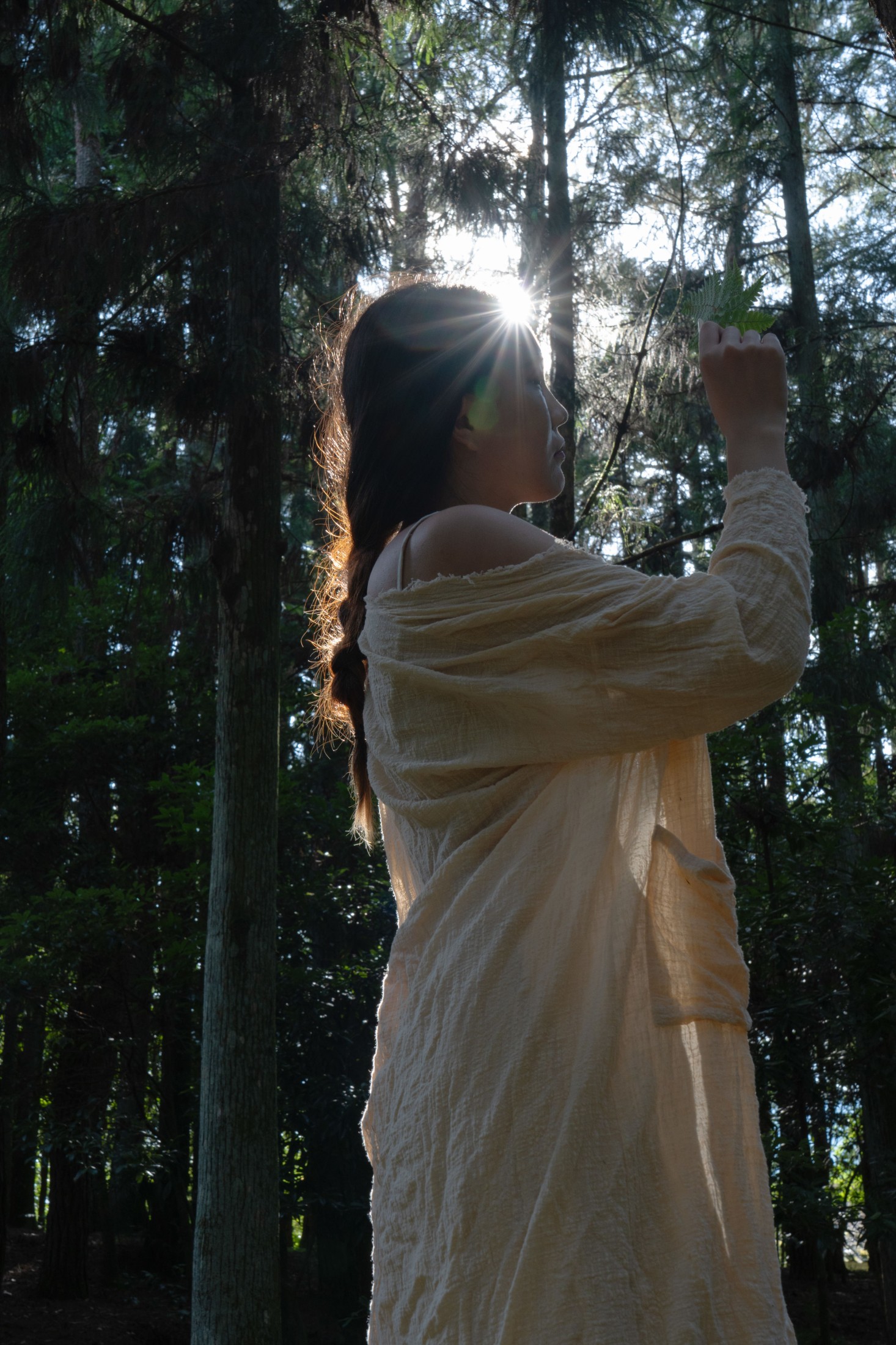 KiKi – 《影落林隙》[35P] 插图3