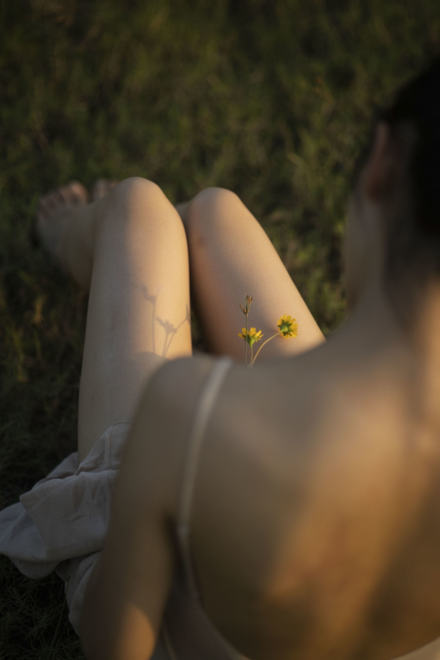 小鱼 – 《末》[20P]