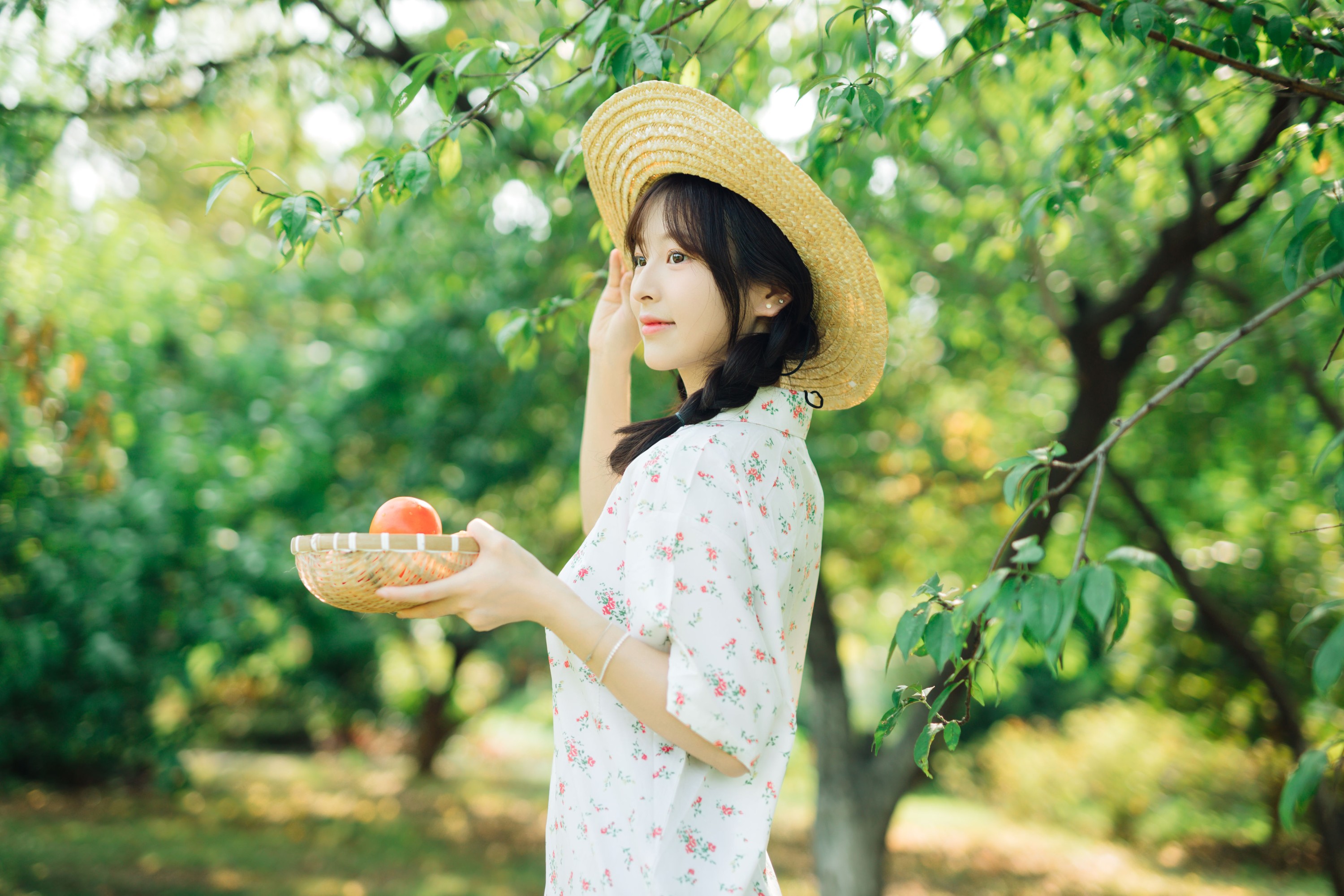 星星 – 《明媚的夏天》[45P]