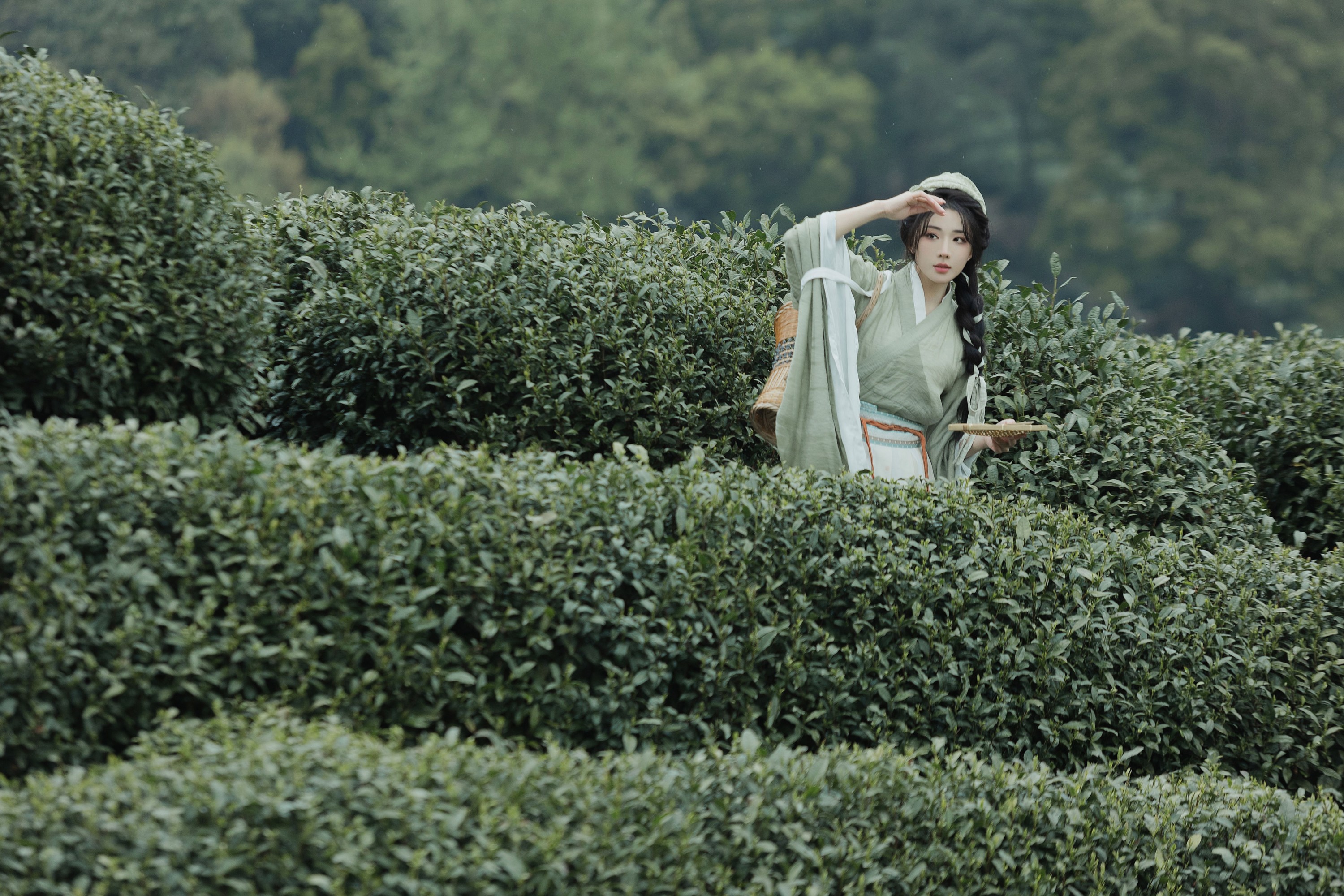 是真的南渊 – 《采茶》[81P]