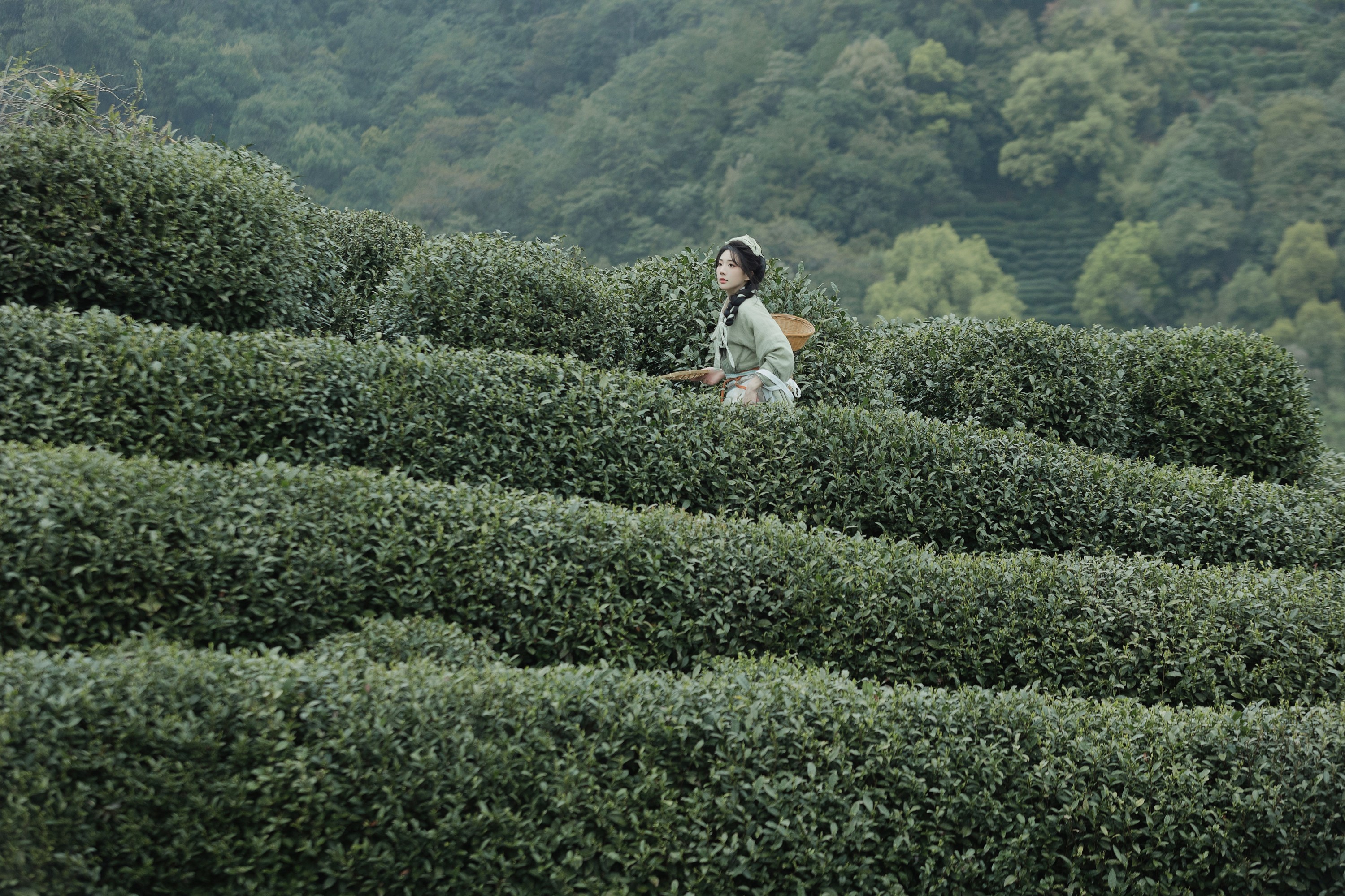 是真的南渊 – 《采茶》[81P]