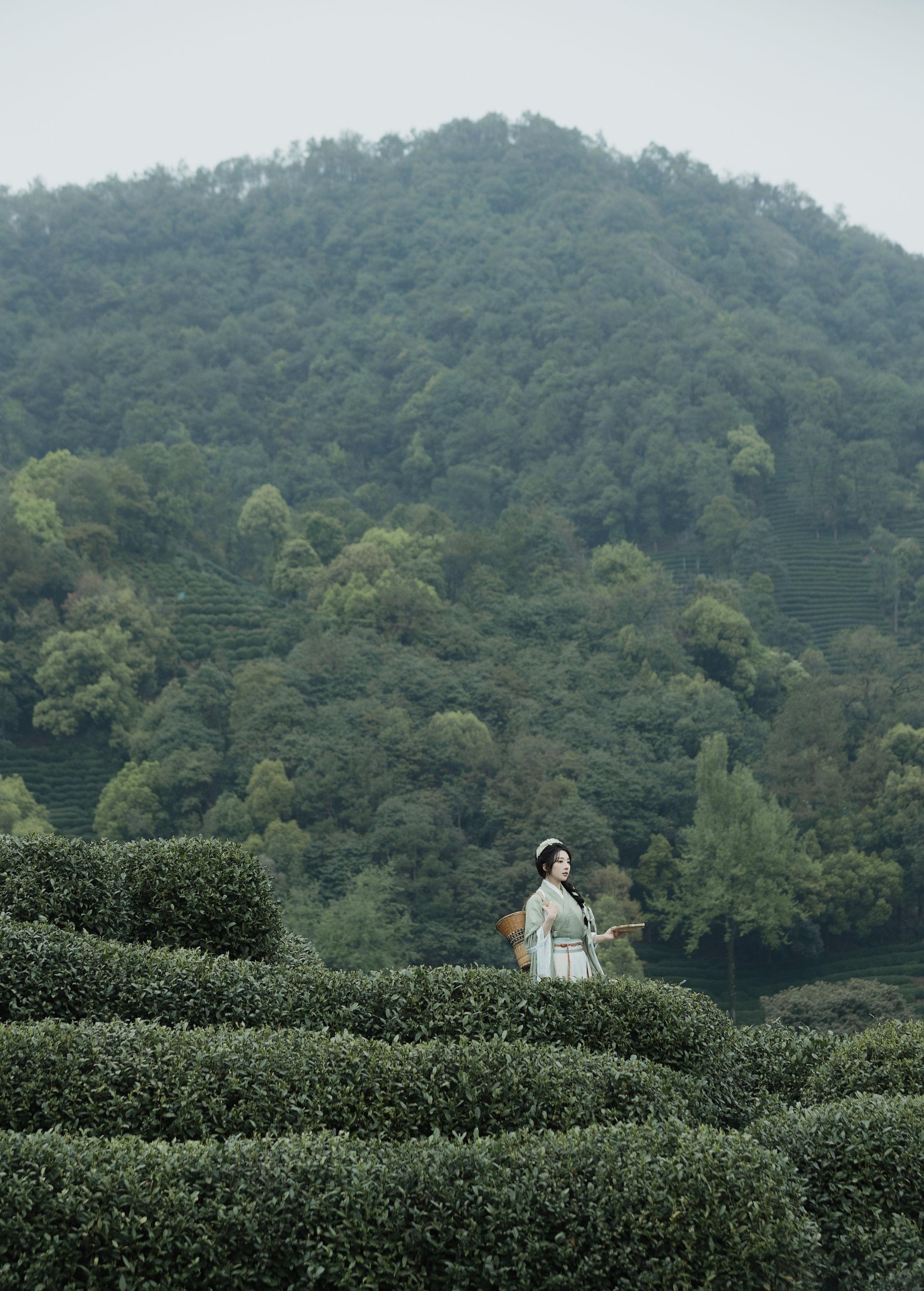 是真的南渊 – 《采茶》[81P]