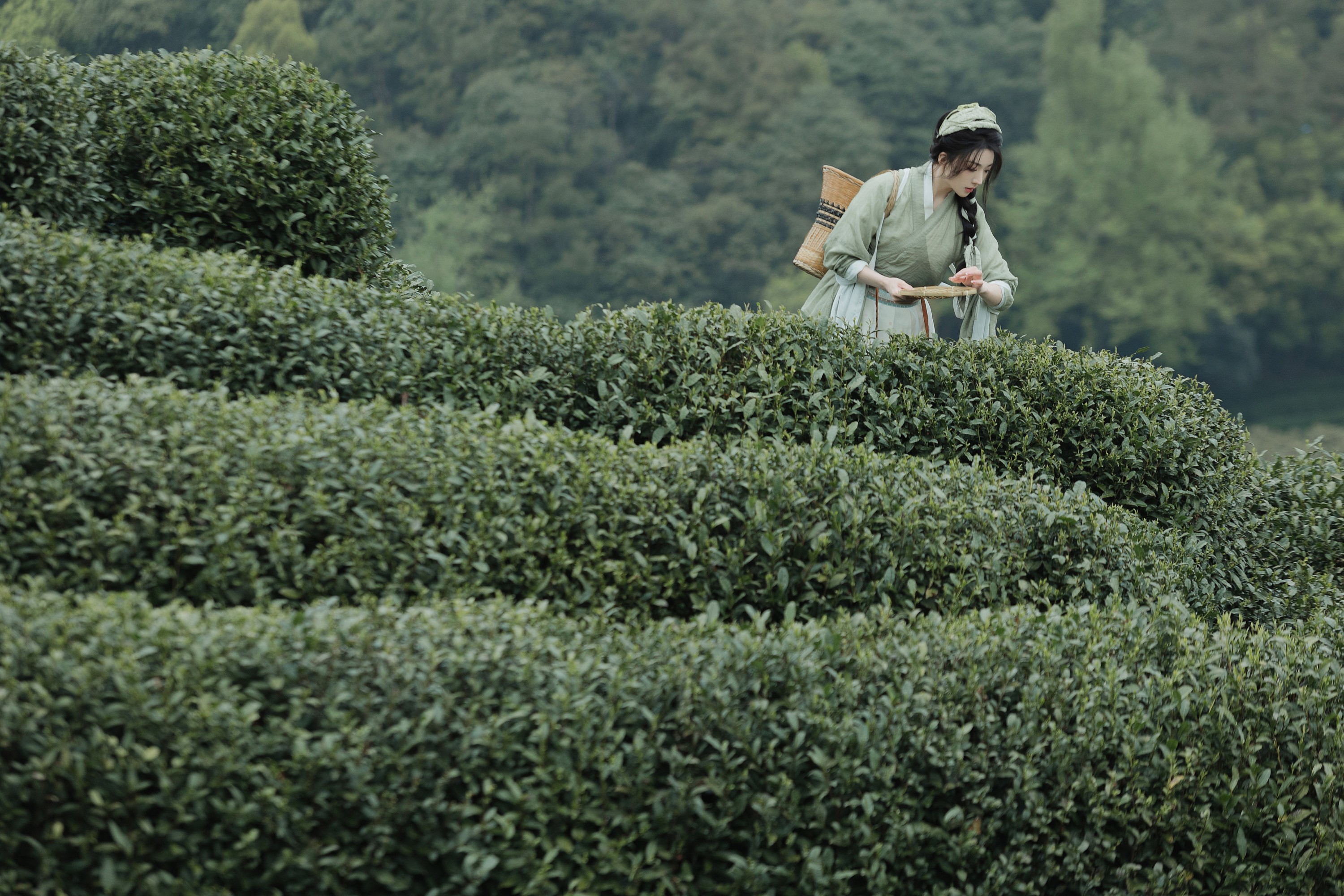 是真的南渊 – 《采茶》[81P]