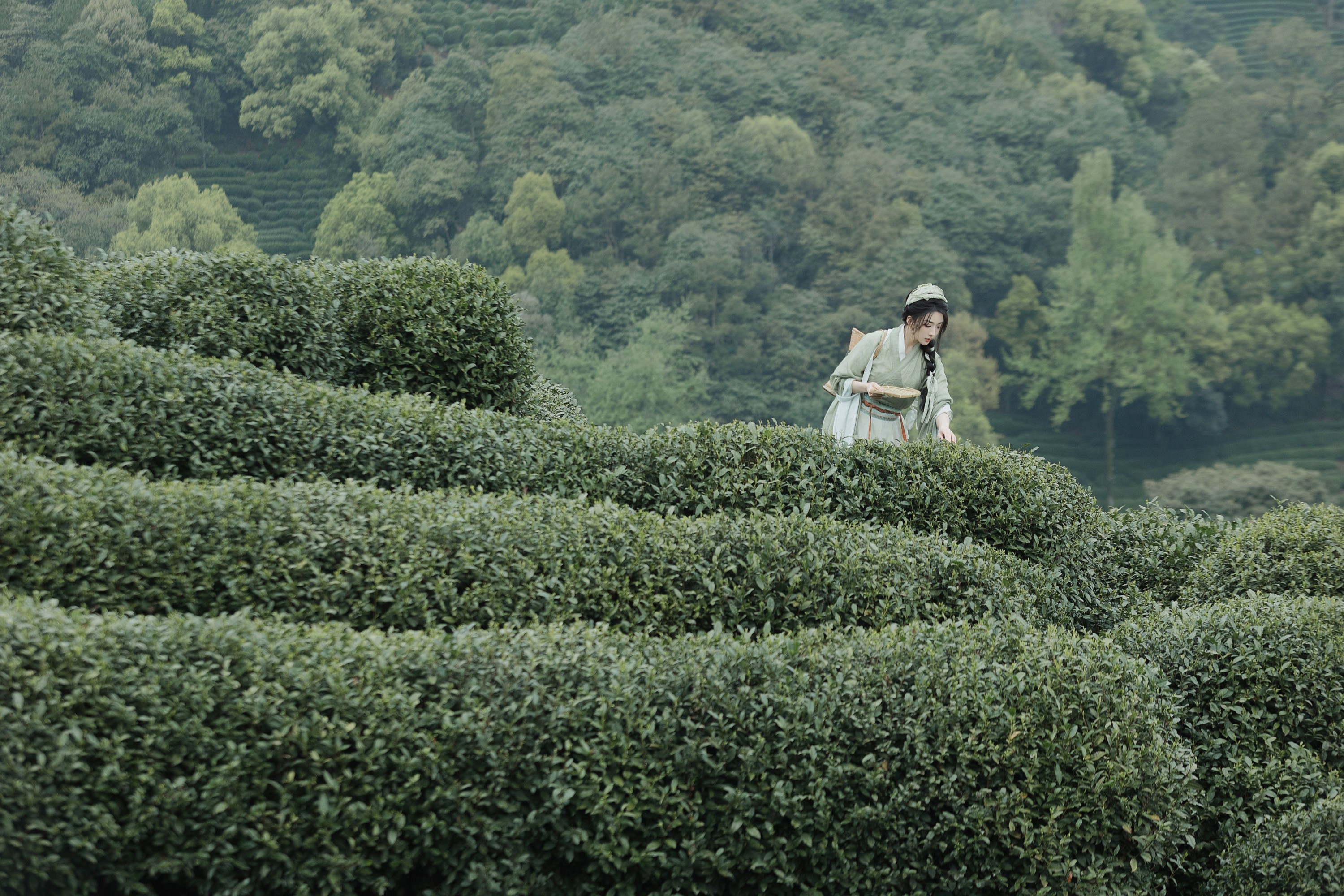 是真的南渊 – 《采茶》[81P]