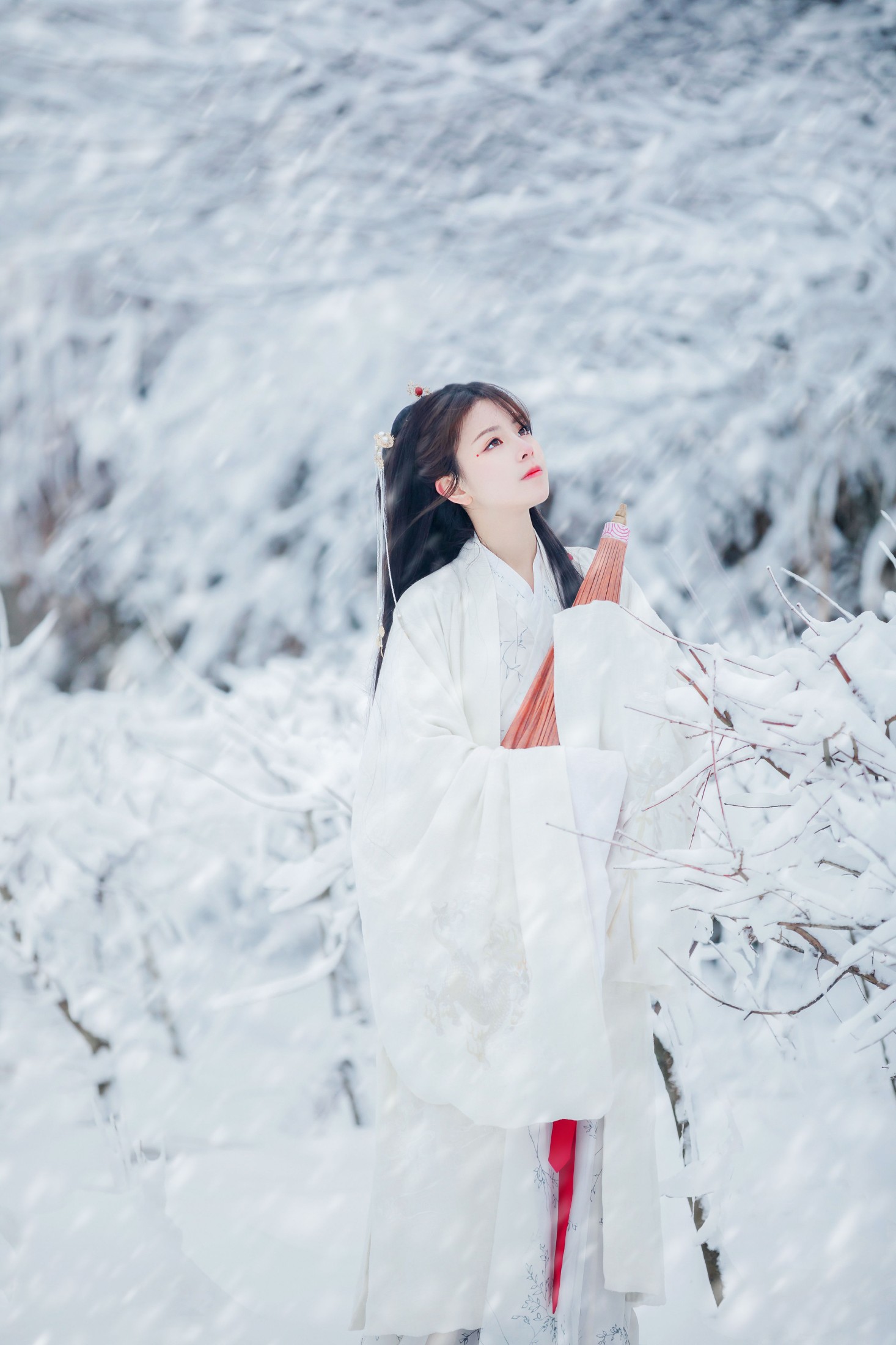 公子不坏 – 《眉间雪》[20P]