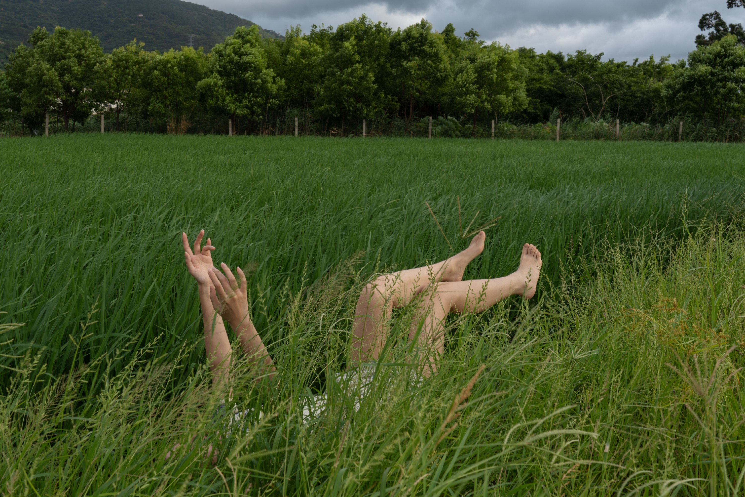 鹿米 – 《稻田来信》[32P]