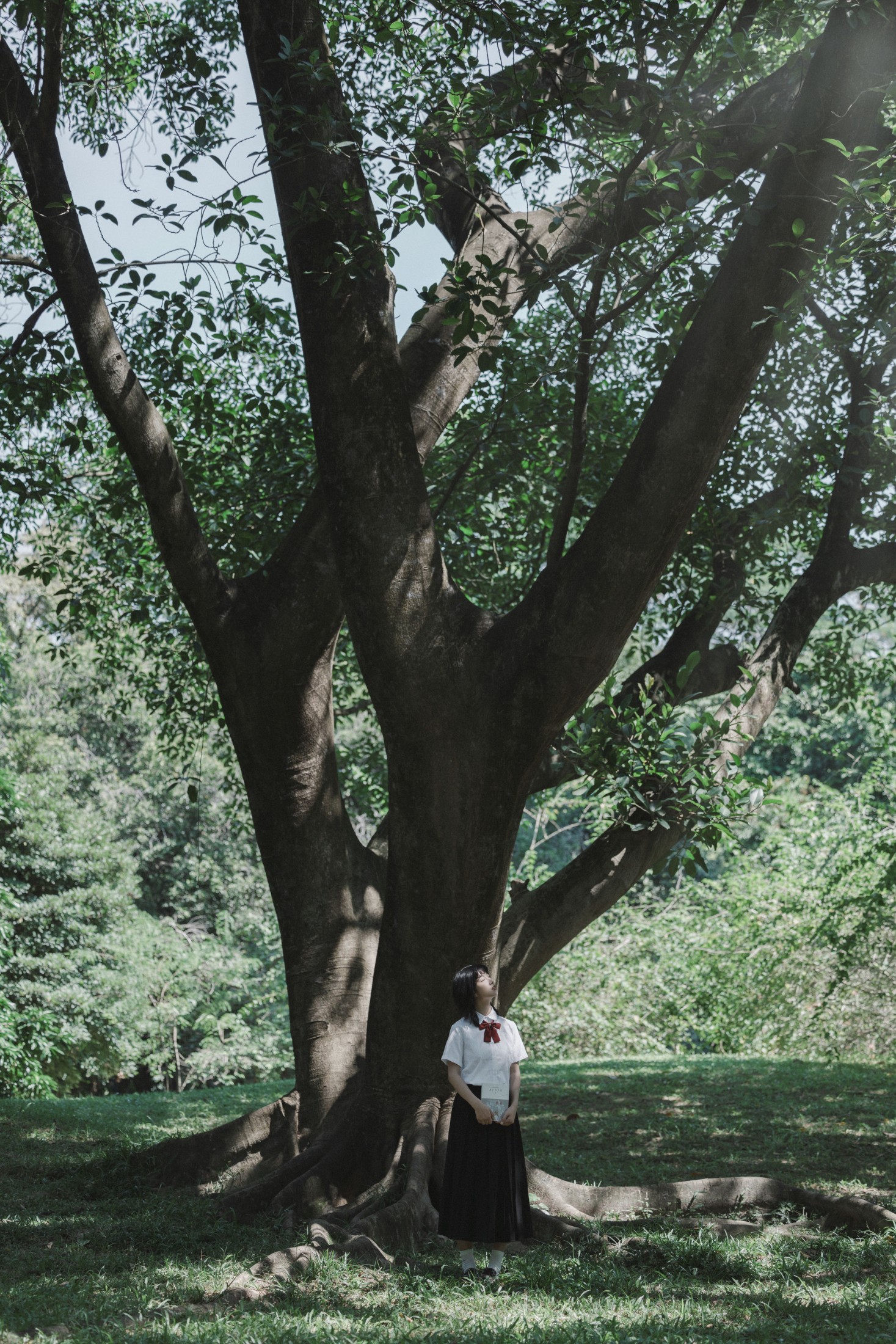 咕咕咕 – 《光之舞》[25P]