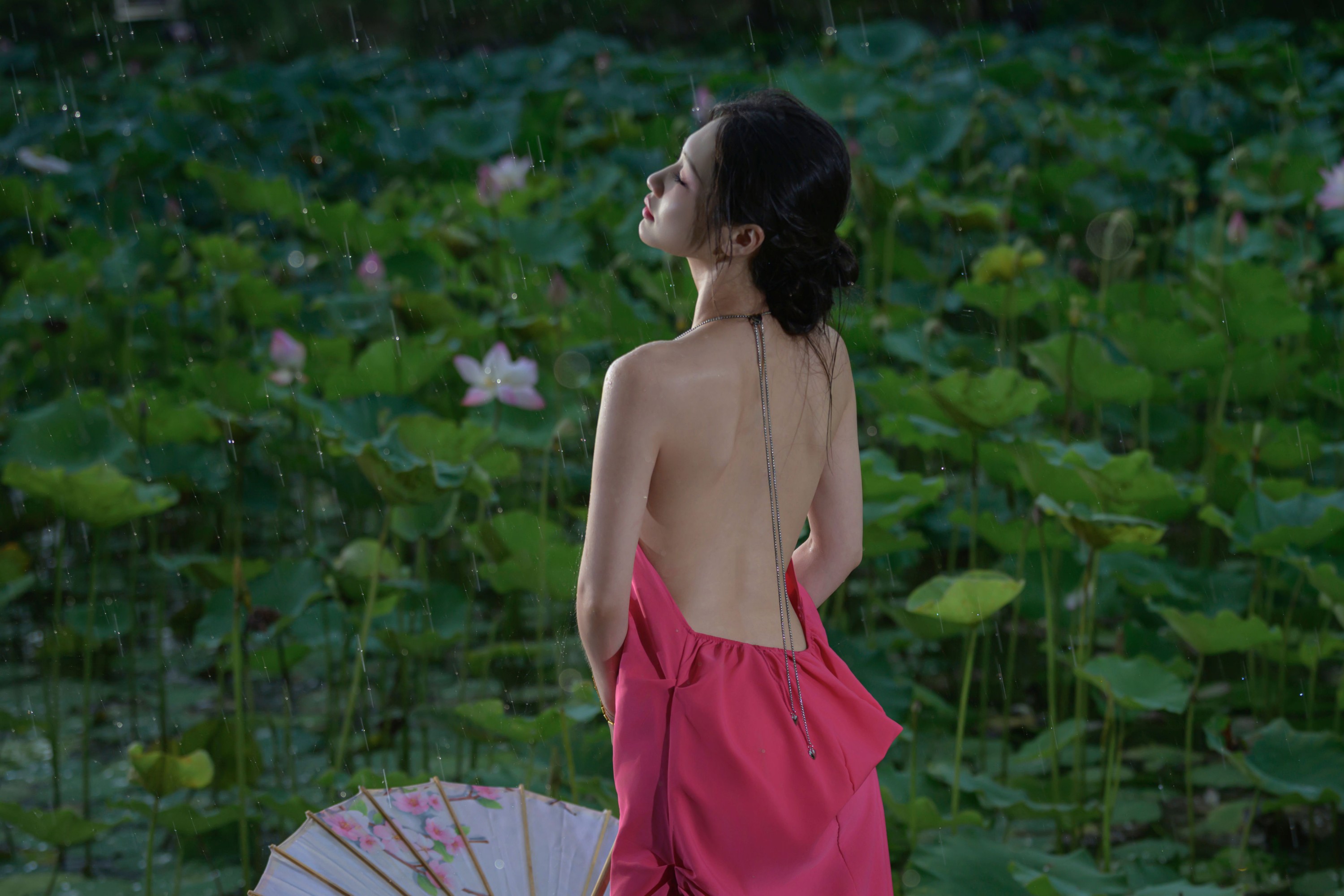 瑾瑾吖 – 《雨荷》[17P] 插图3