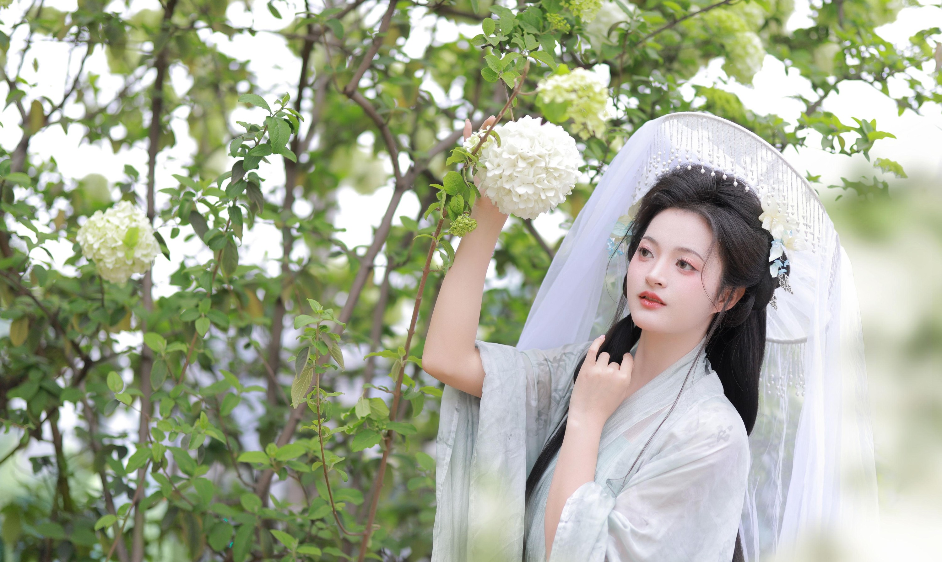 端端 – 《中华木绣球》[13P]