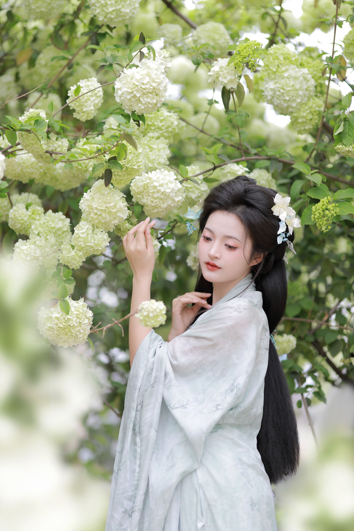 端端 – 《中华木绣球》[13P]