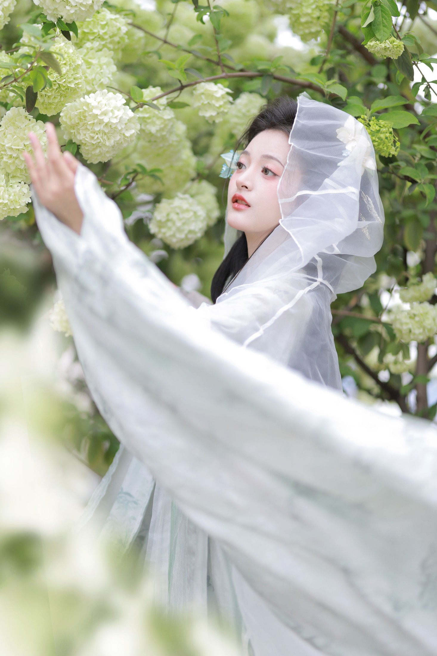 端端 – 《中华木绣球》[13P]