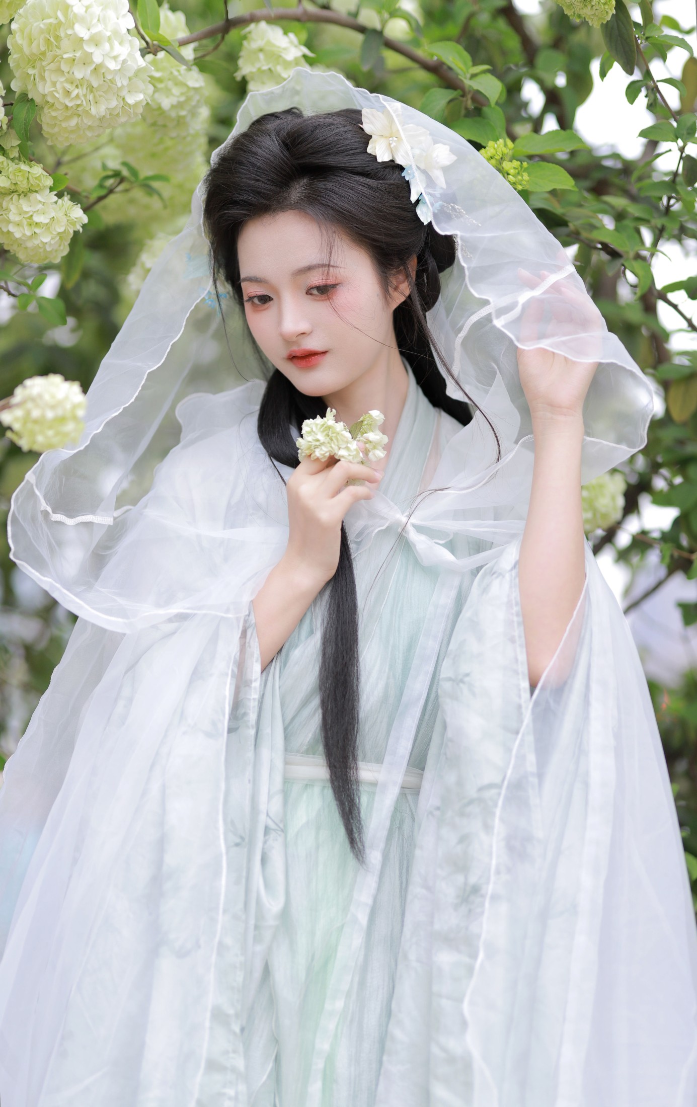 端端 – 《中华木绣球》[13P]