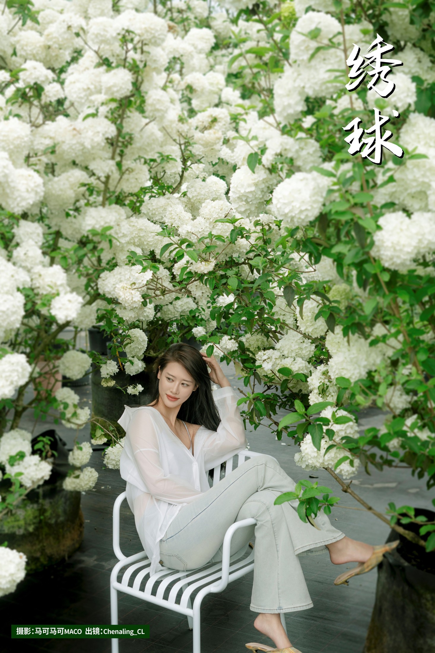 Chenaling_CL – 《绣球》[20P]