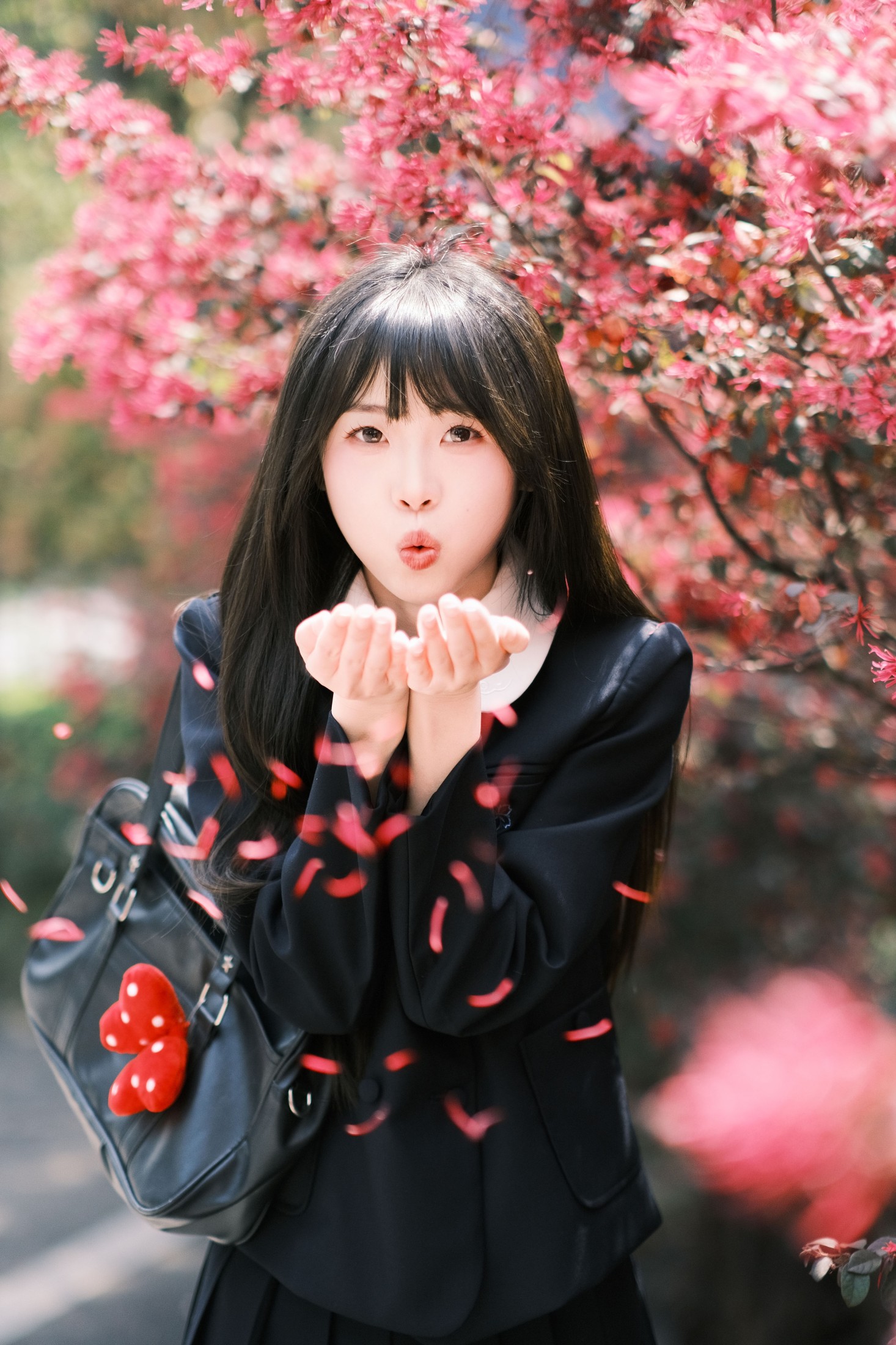 10 – 《想不到吧路边绿化的红继木拍出来这么好看》[18P]