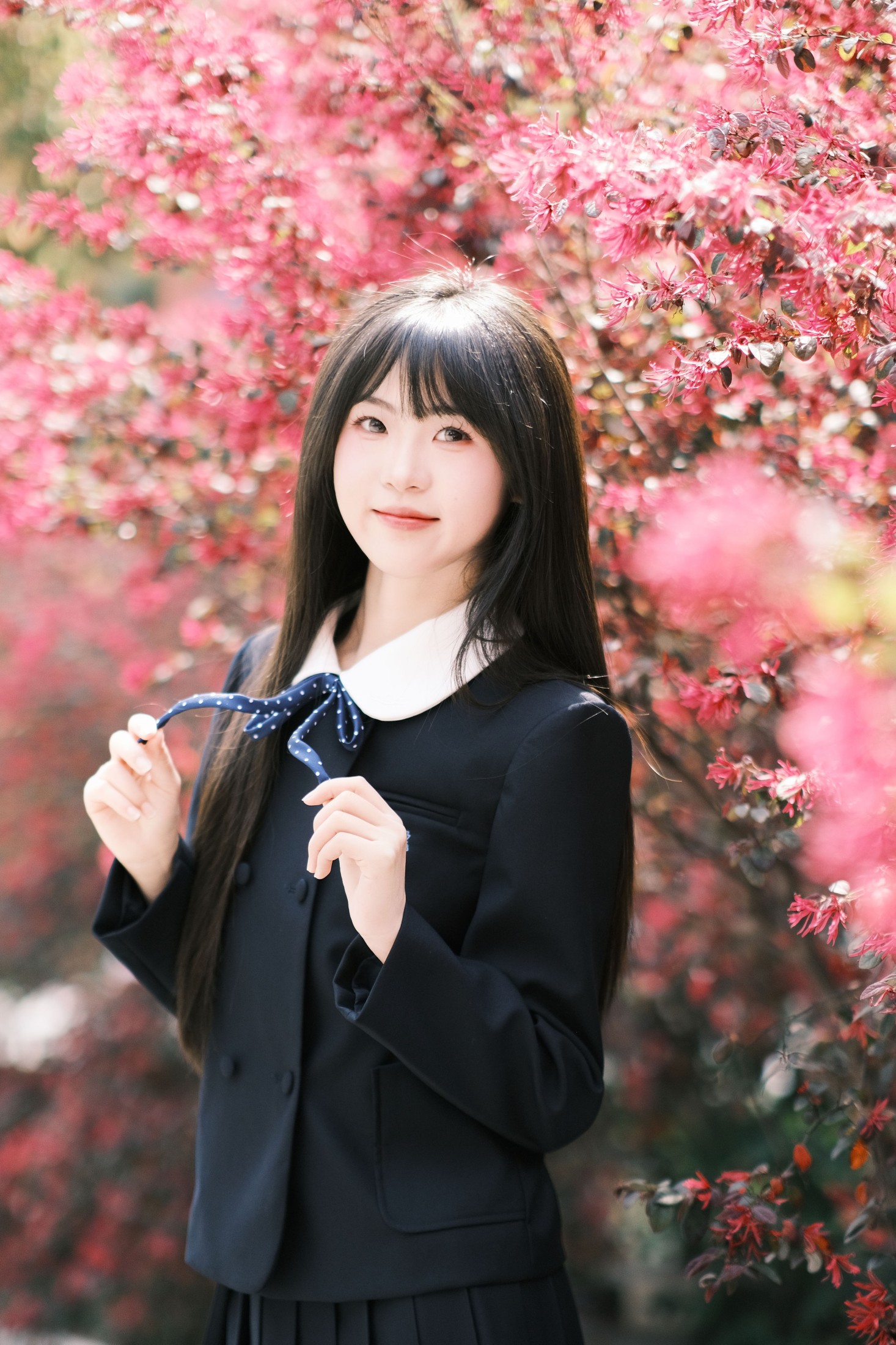 10 – 《想不到吧路边绿化的红继木拍出来这么好看》[18P]